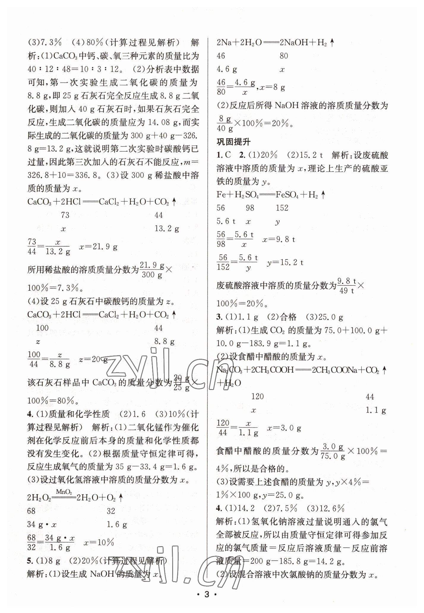 2023年創(chuàng)新課時作業(yè)本九年級化學下冊滬教版 第3頁