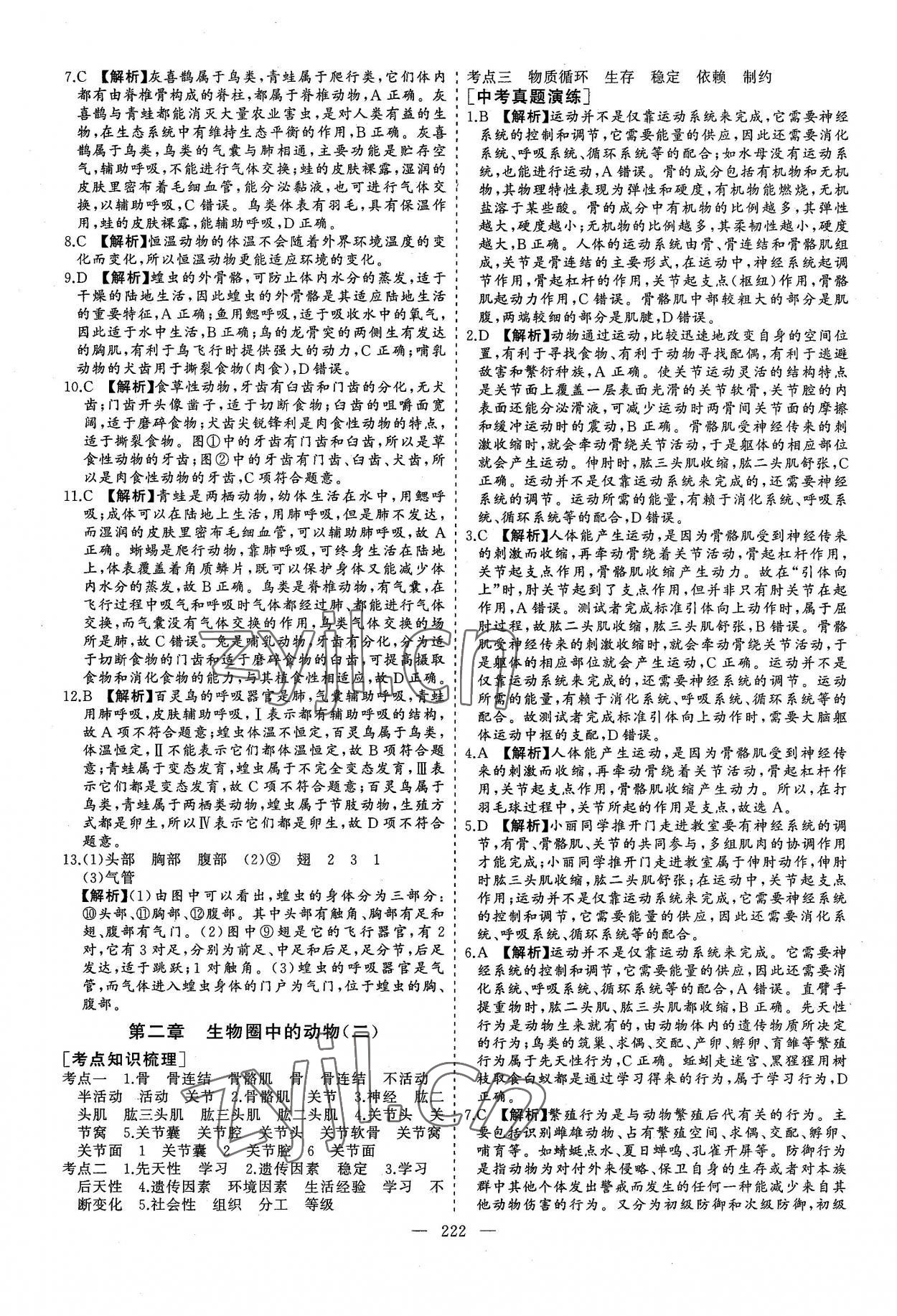 2022年新中考集訓中考總復習生物濟南版 參考答案第9頁