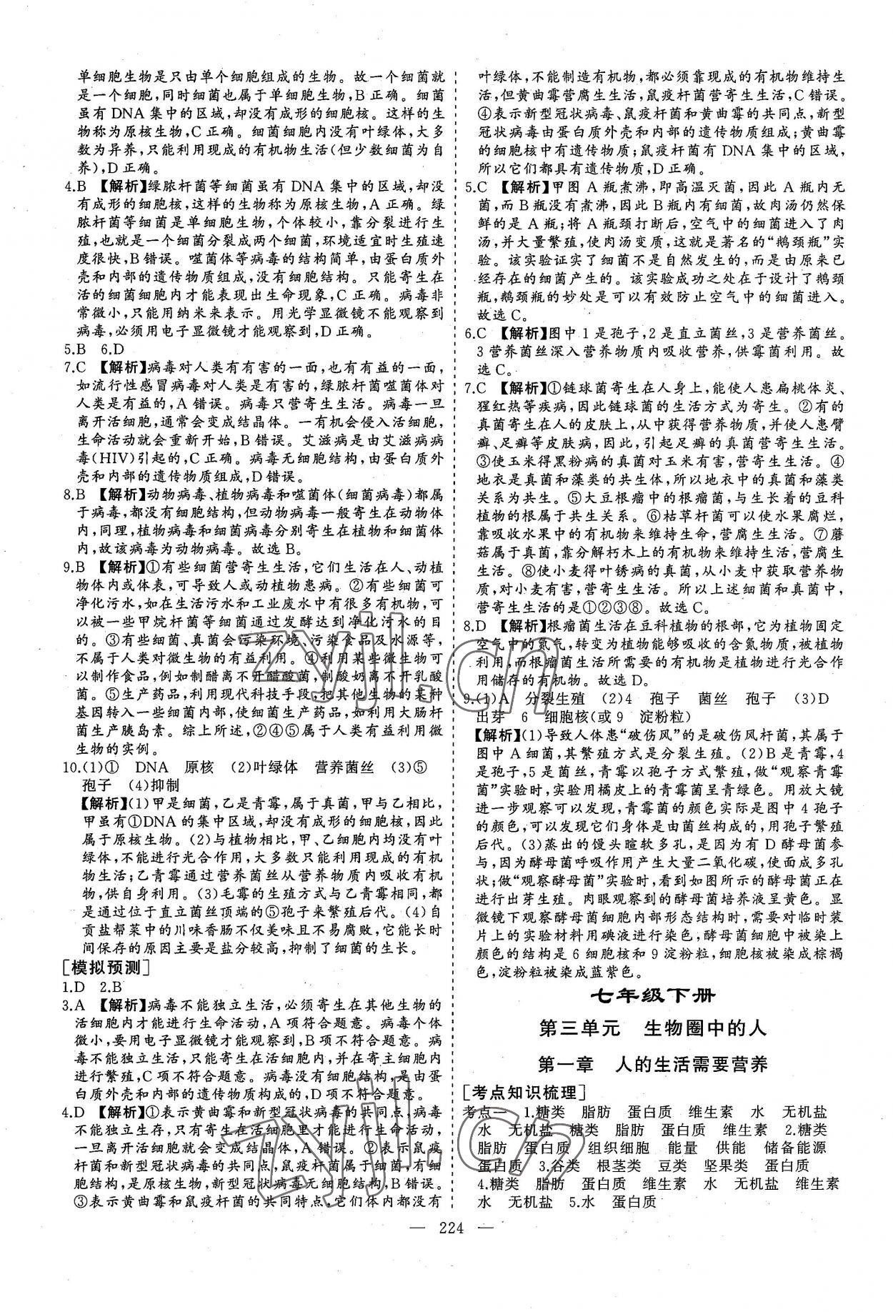 2022年新中考集訓(xùn)中考總復(fù)習(xí)生物濟(jì)南版 參考答案第11頁