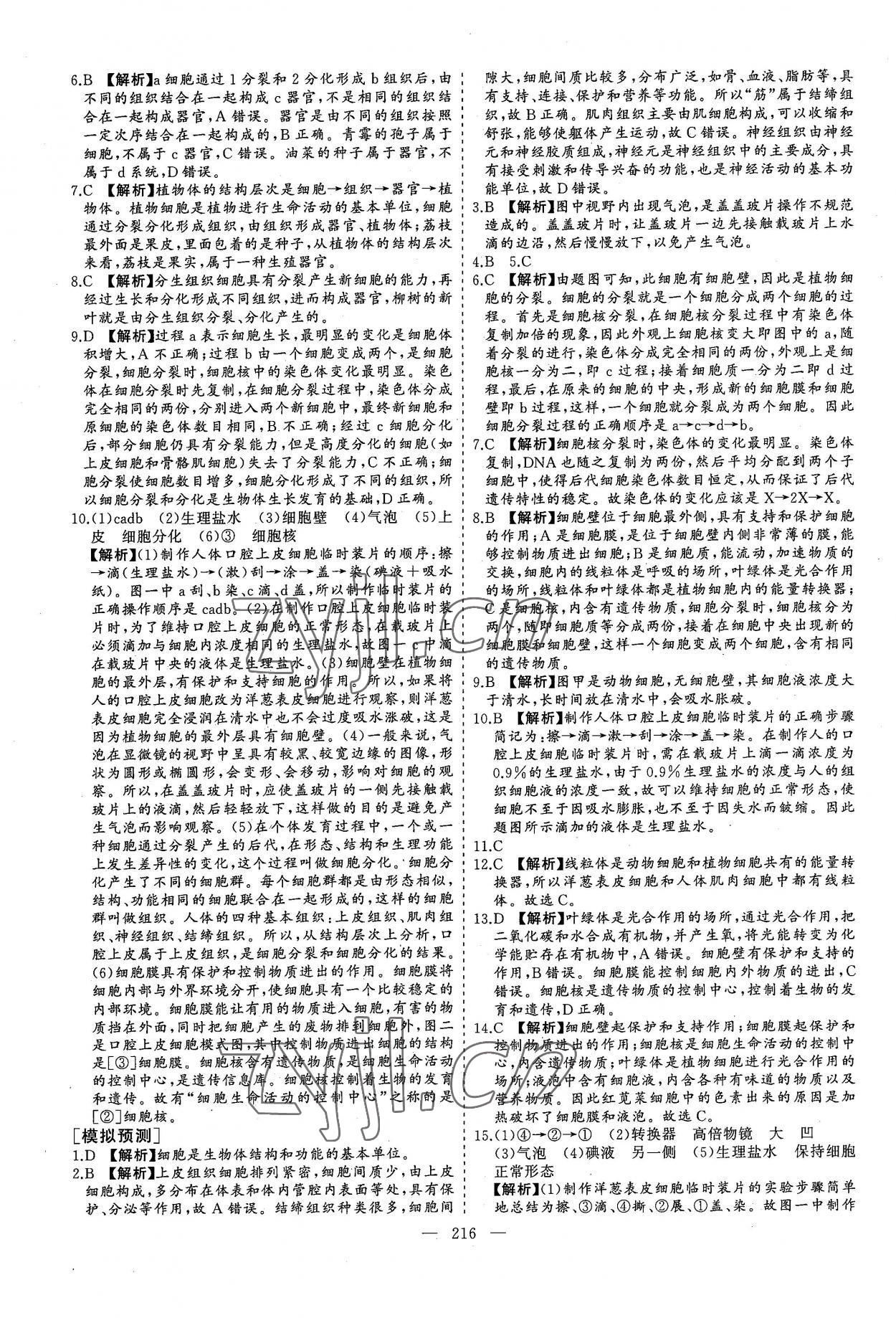 2022年新中考集訓中考總復習生物濟南版 參考答案第3頁