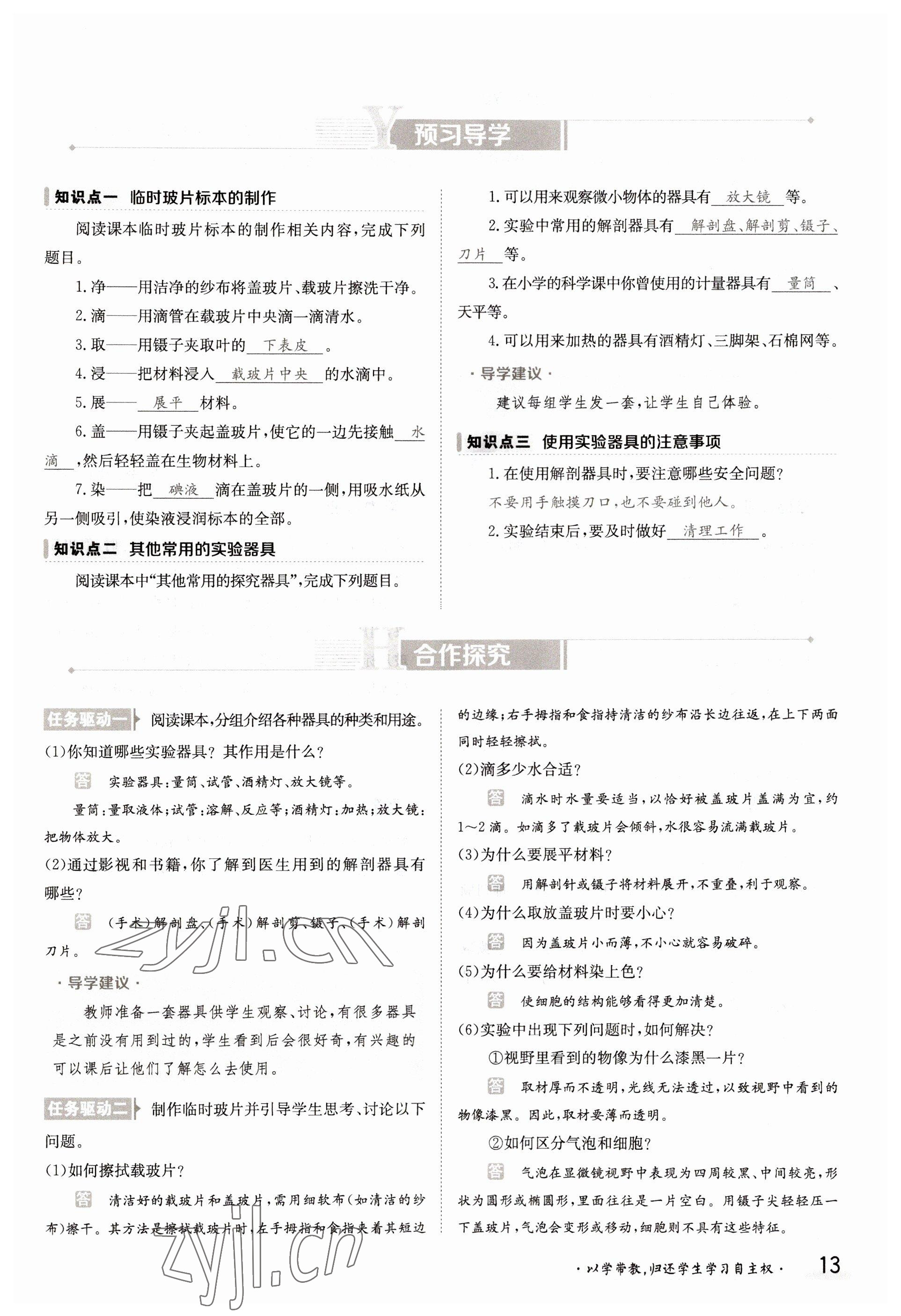 2022年金太陽導(dǎo)學(xué)案七年級生物上冊蘇教版 參考答案第13頁