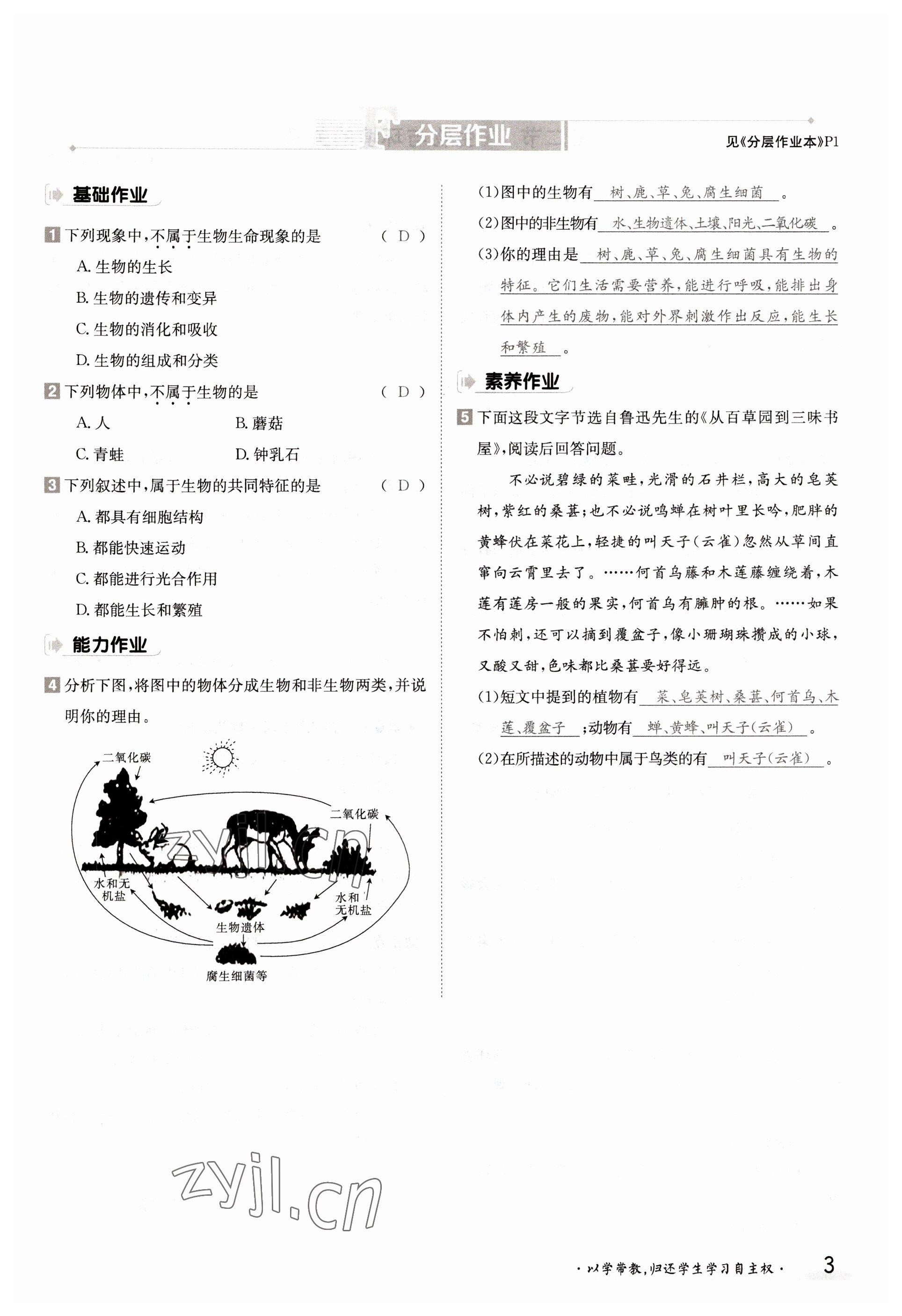 2022年金太陽導學案七年級生物上冊蘇教版 參考答案第3頁