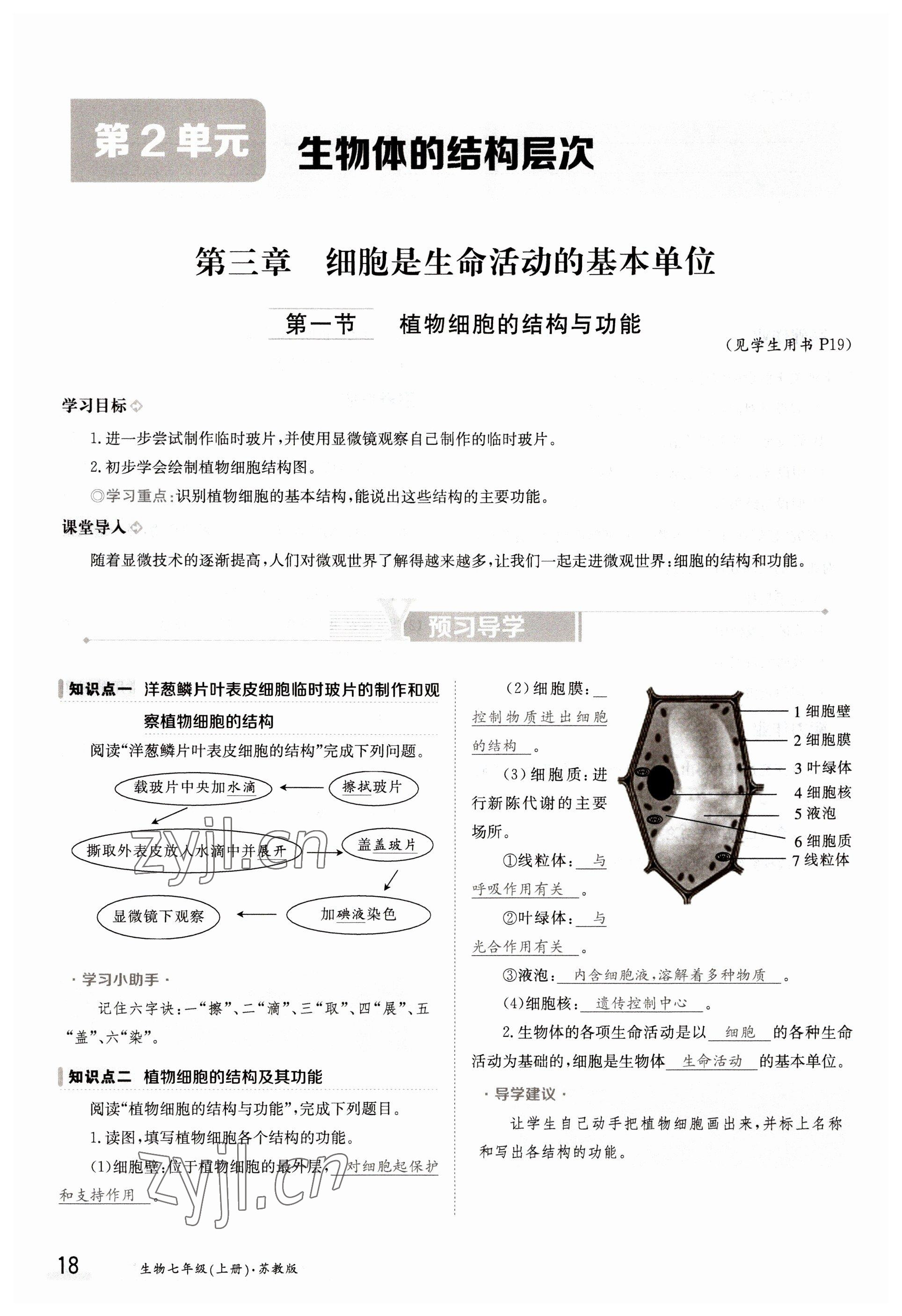 2022年金太陽導學案七年級生物上冊蘇教版 參考答案第18頁