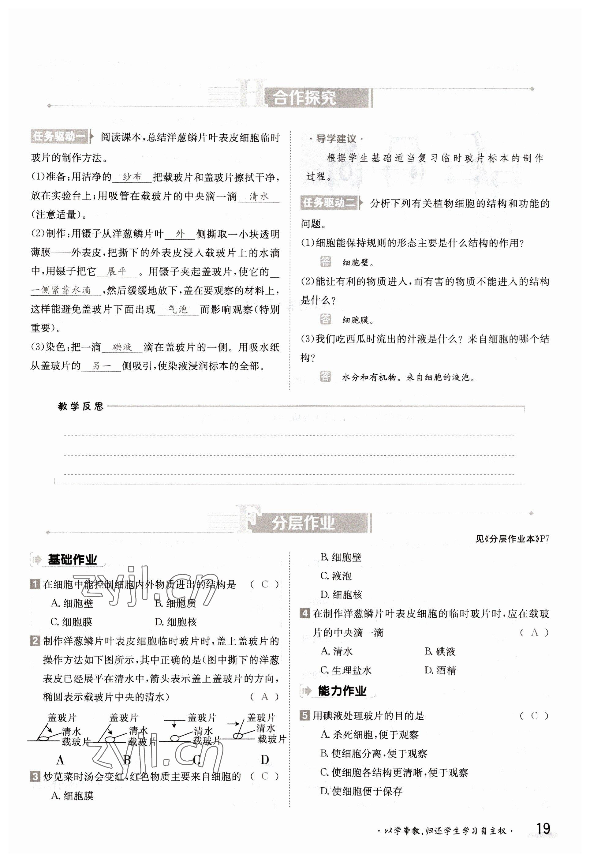 2022年金太陽導(dǎo)學(xué)案七年級生物上冊蘇教版 參考答案第19頁