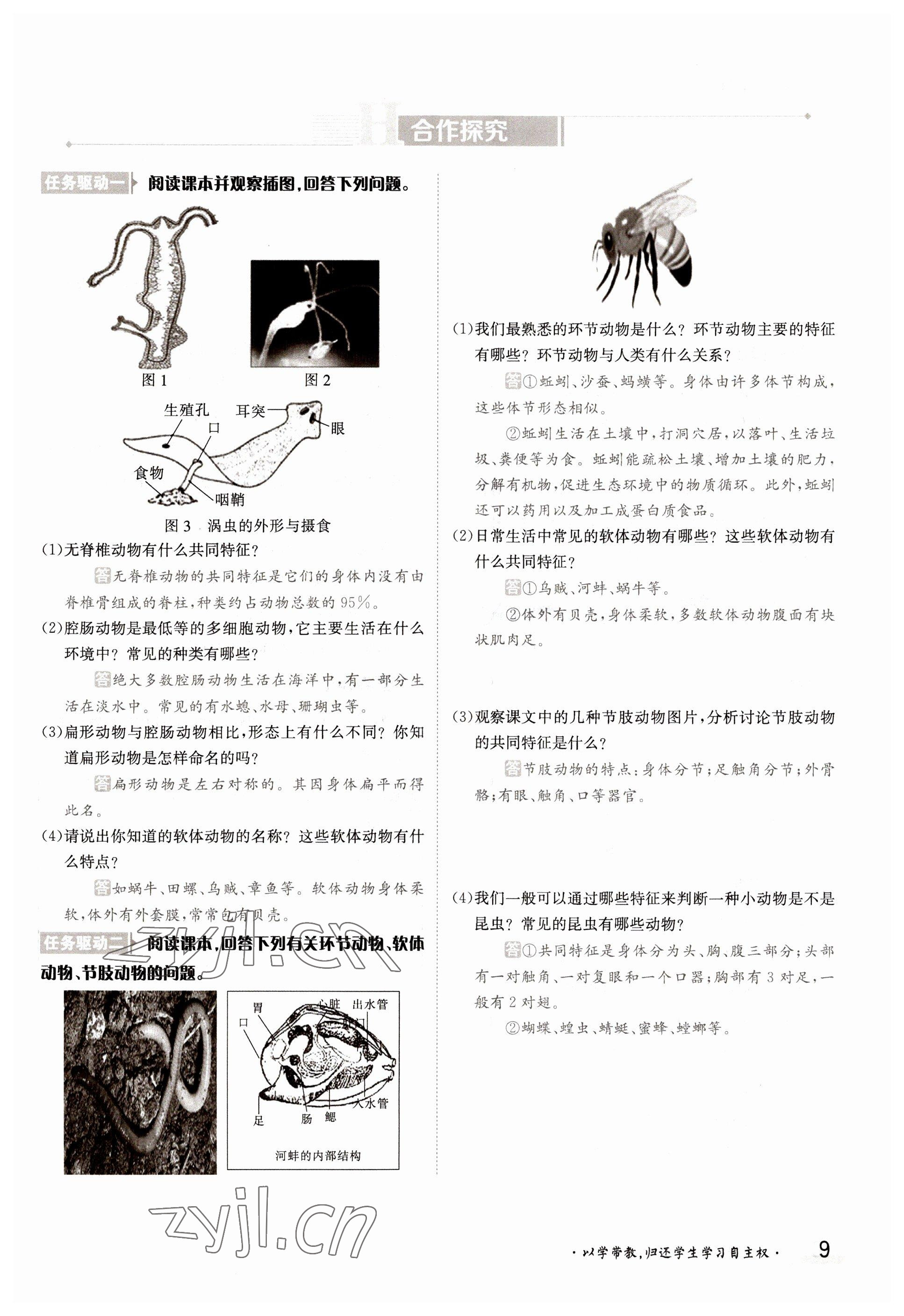 2022年金太陽導(dǎo)學(xué)案八年級(jí)生物上冊(cè)蘇教版 參考答案第9頁