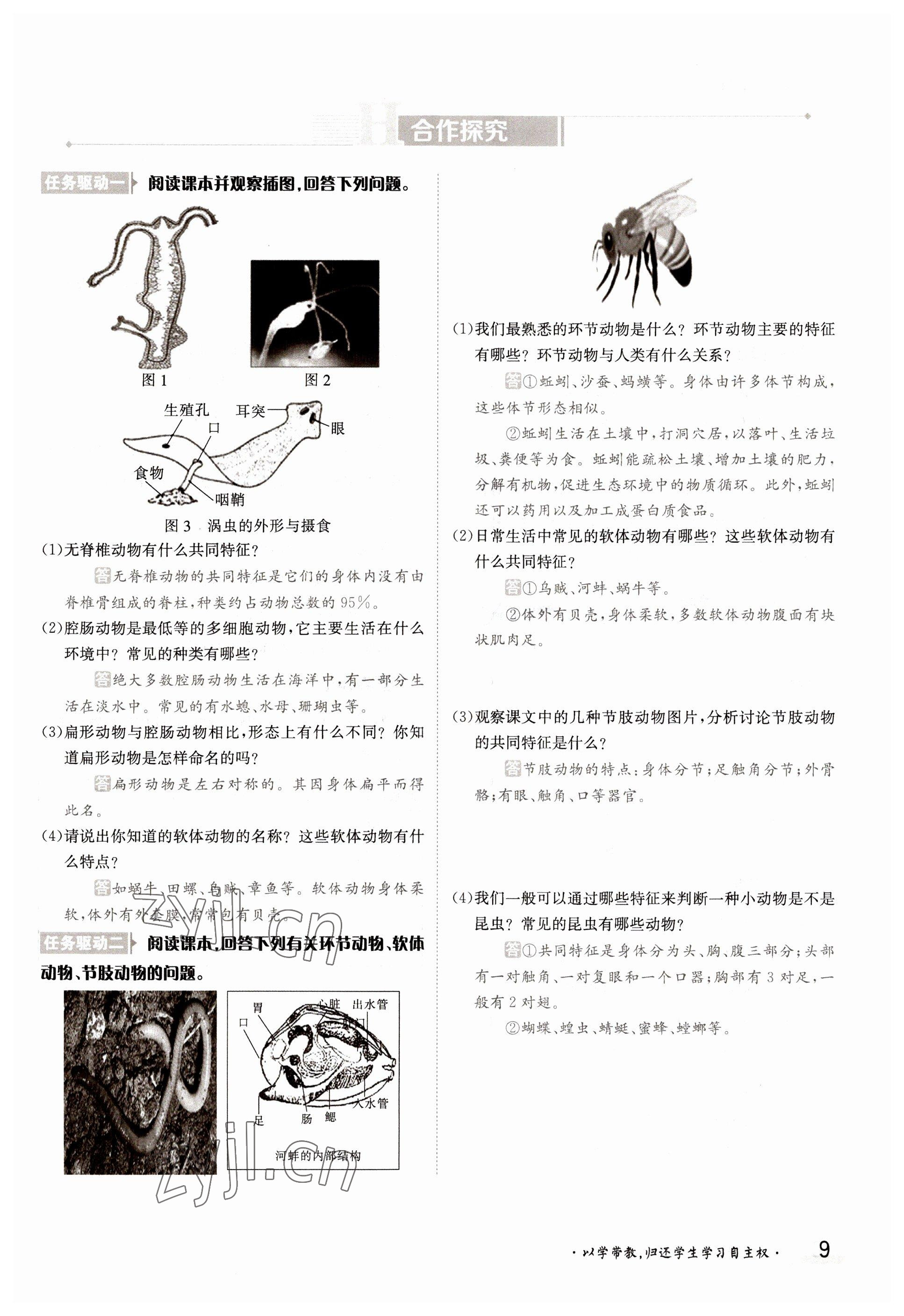 2022年金太阳导学测评八年级生物上册苏教版 参考答案第9页