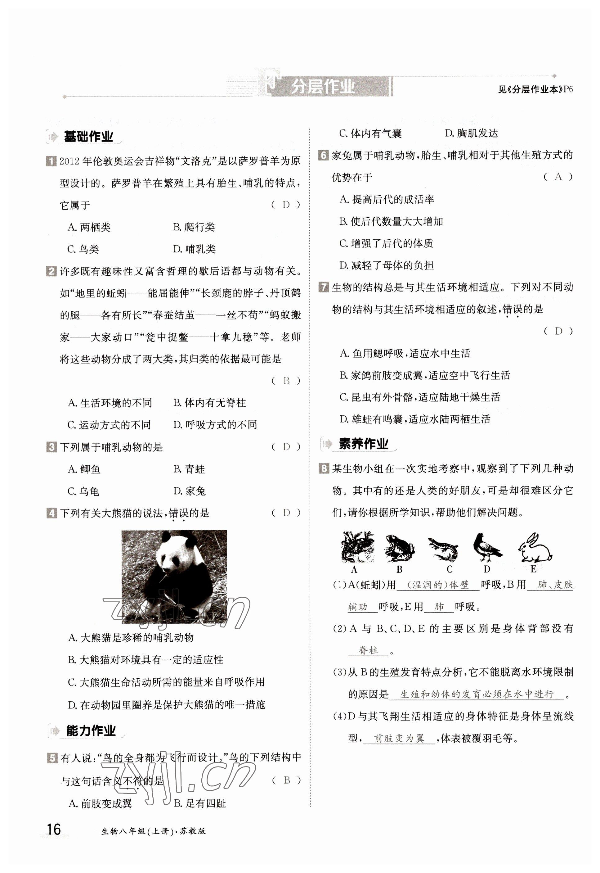 2022年三段六步導(dǎo)學(xué)案八年級生物上冊蘇教版 參考答案第16頁