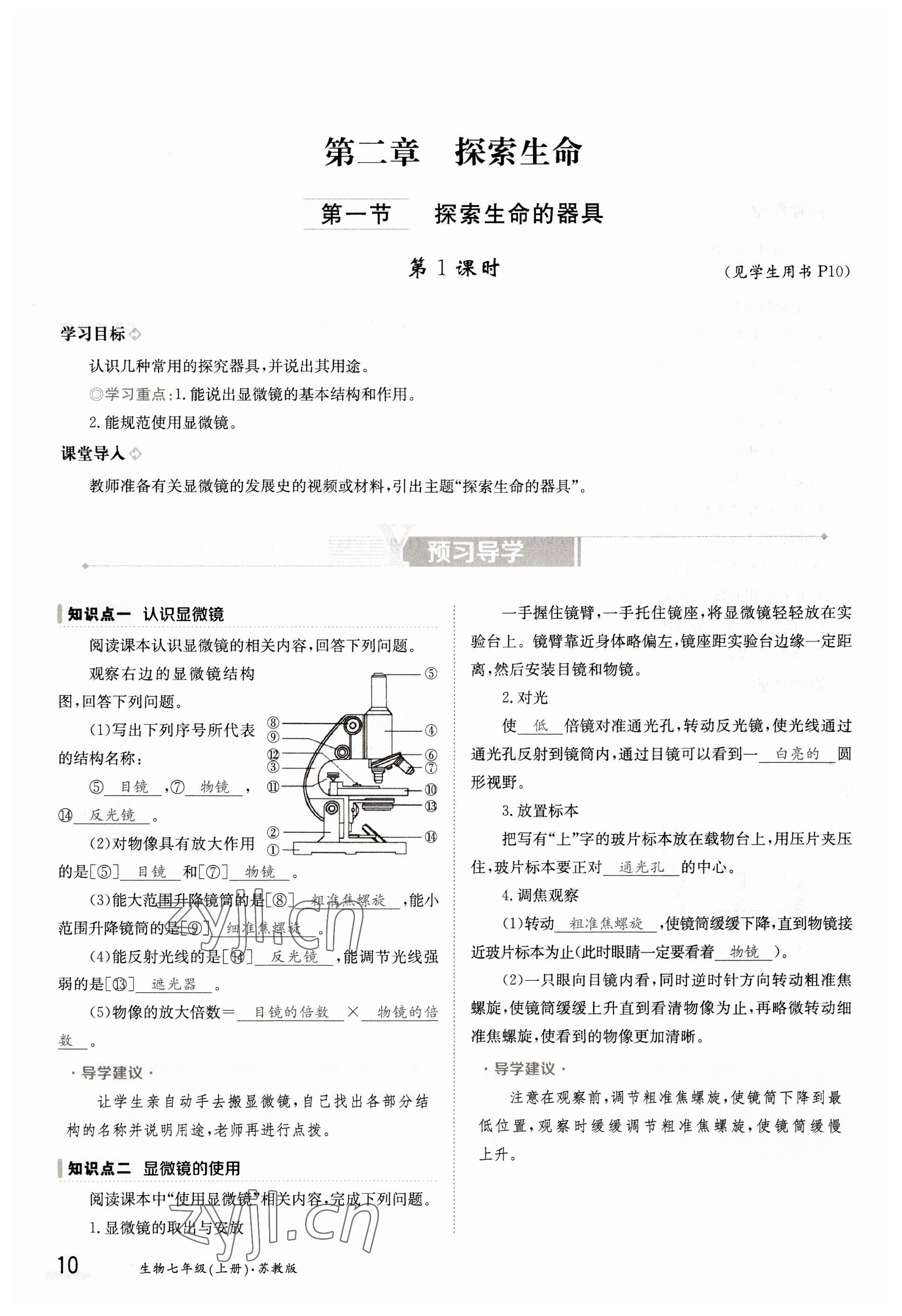 2022年三段六步導(dǎo)學(xué)案七年級生物上冊蘇教版 參考答案第10頁