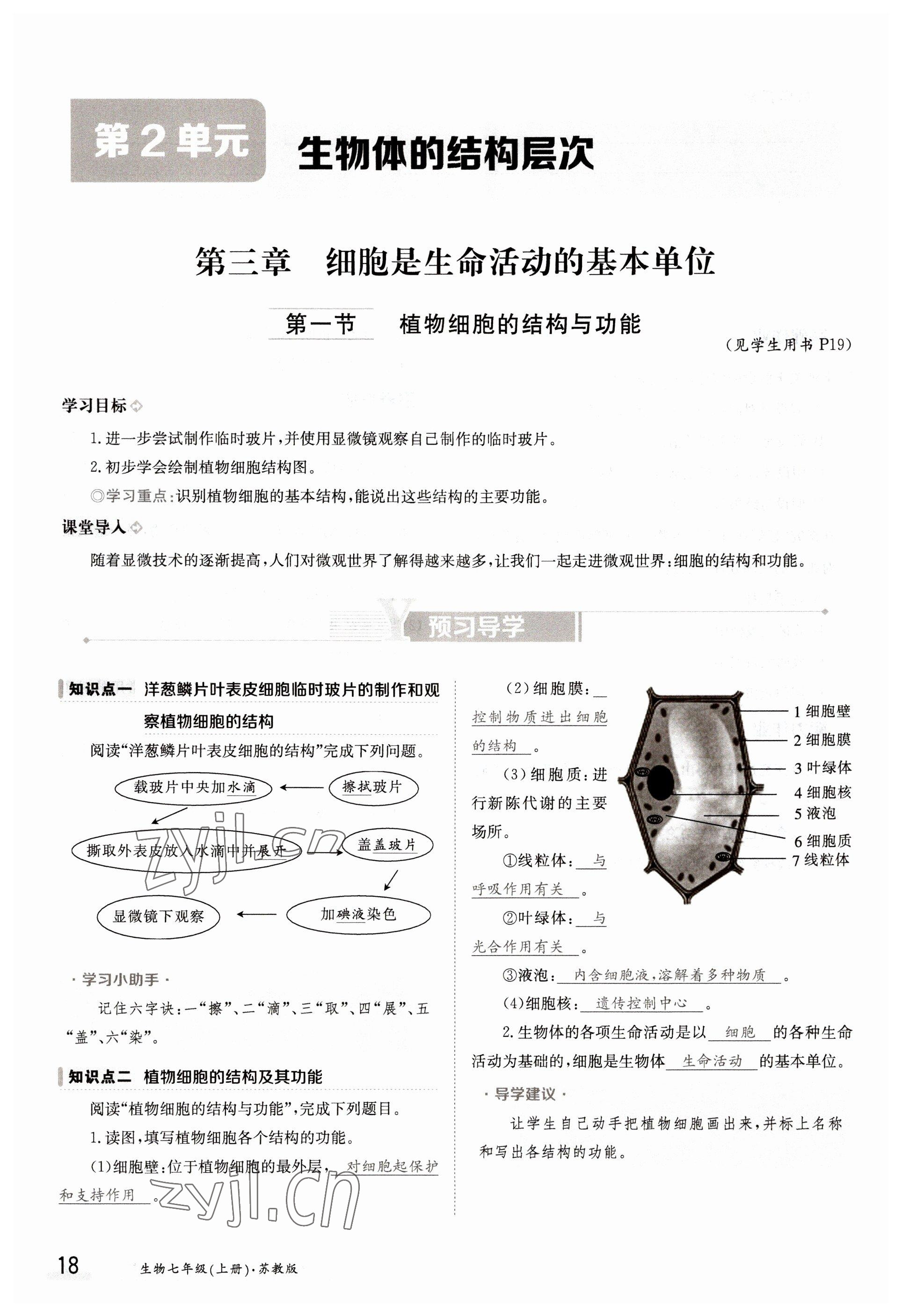 2022年三段六步導(dǎo)學(xué)案七年級生物上冊蘇教版 參考答案第18頁