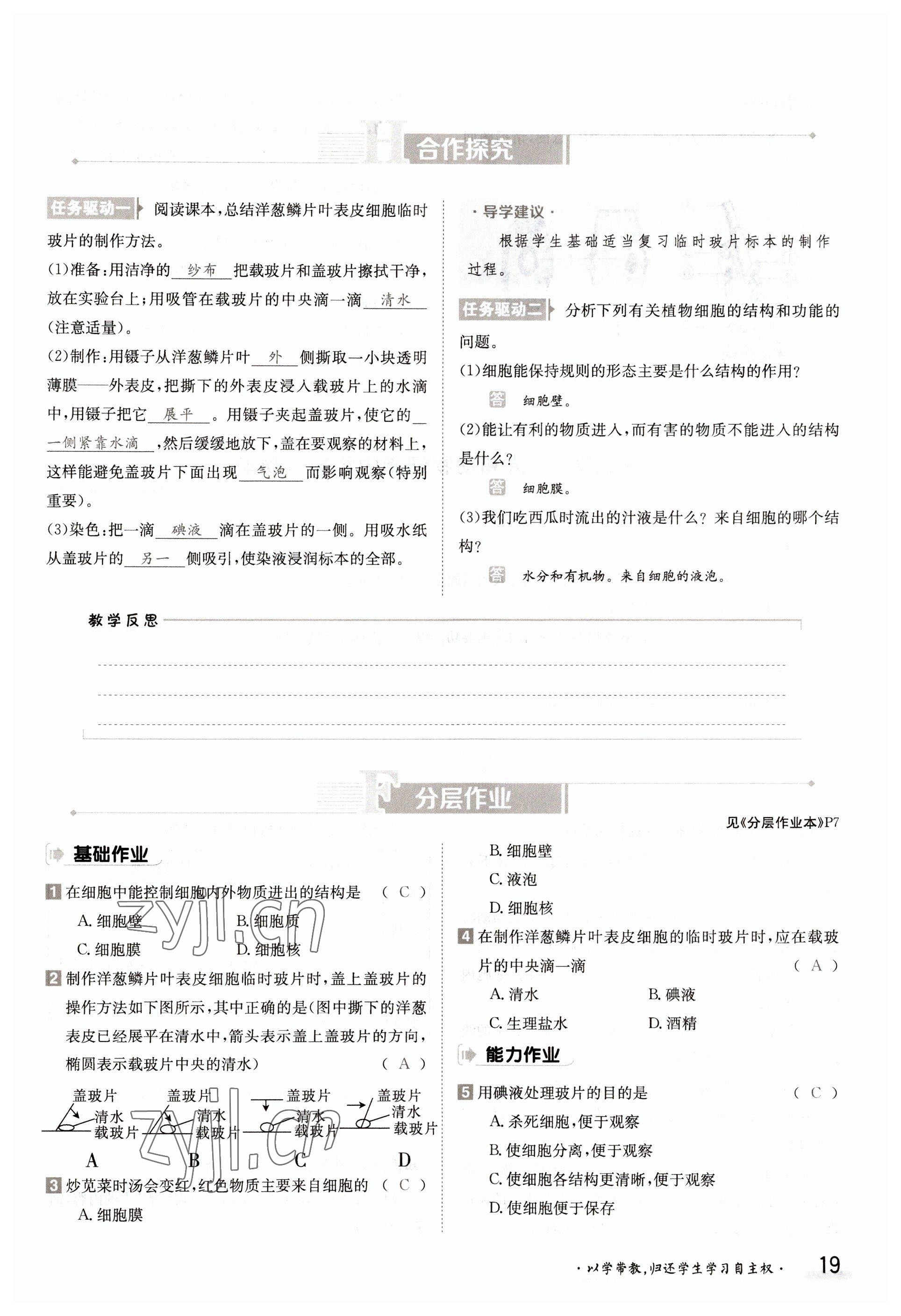 2022年三段六步導(dǎo)學(xué)案七年級生物上冊蘇教版 參考答案第19頁