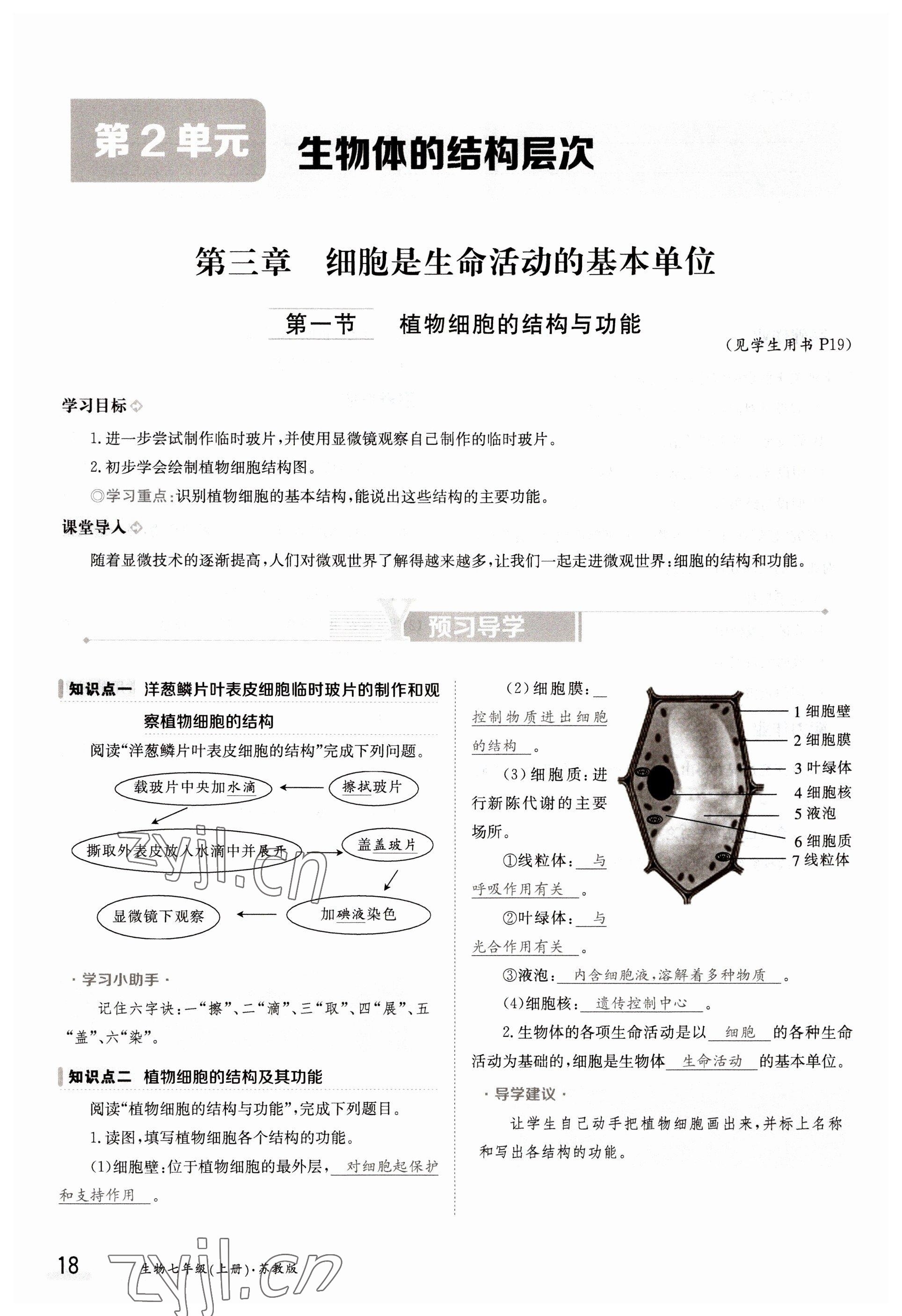 2022年金太陽導(dǎo)學(xué)測(cè)評(píng)七年級(jí)生物上冊(cè)蘇教版 參考答案第18頁