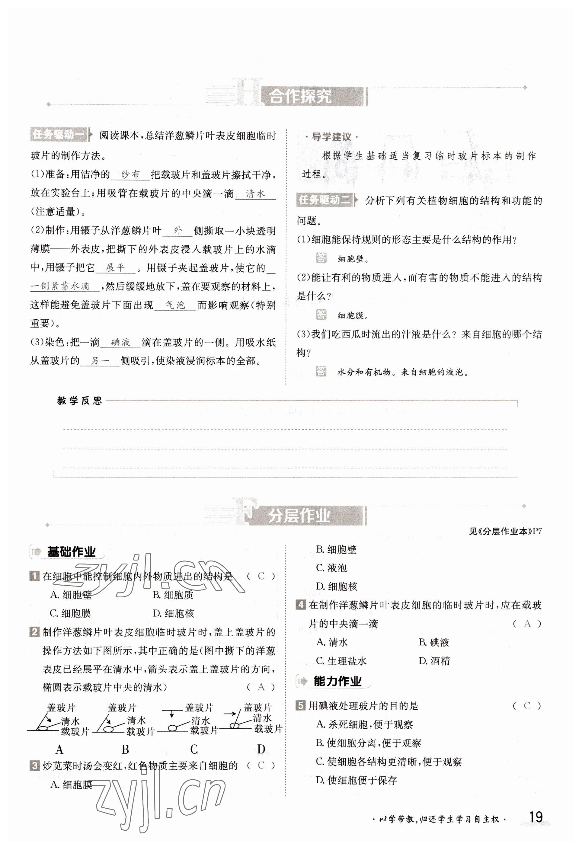 2022年金太陽導(dǎo)學(xué)測評七年級生物上冊蘇教版 參考答案第19頁