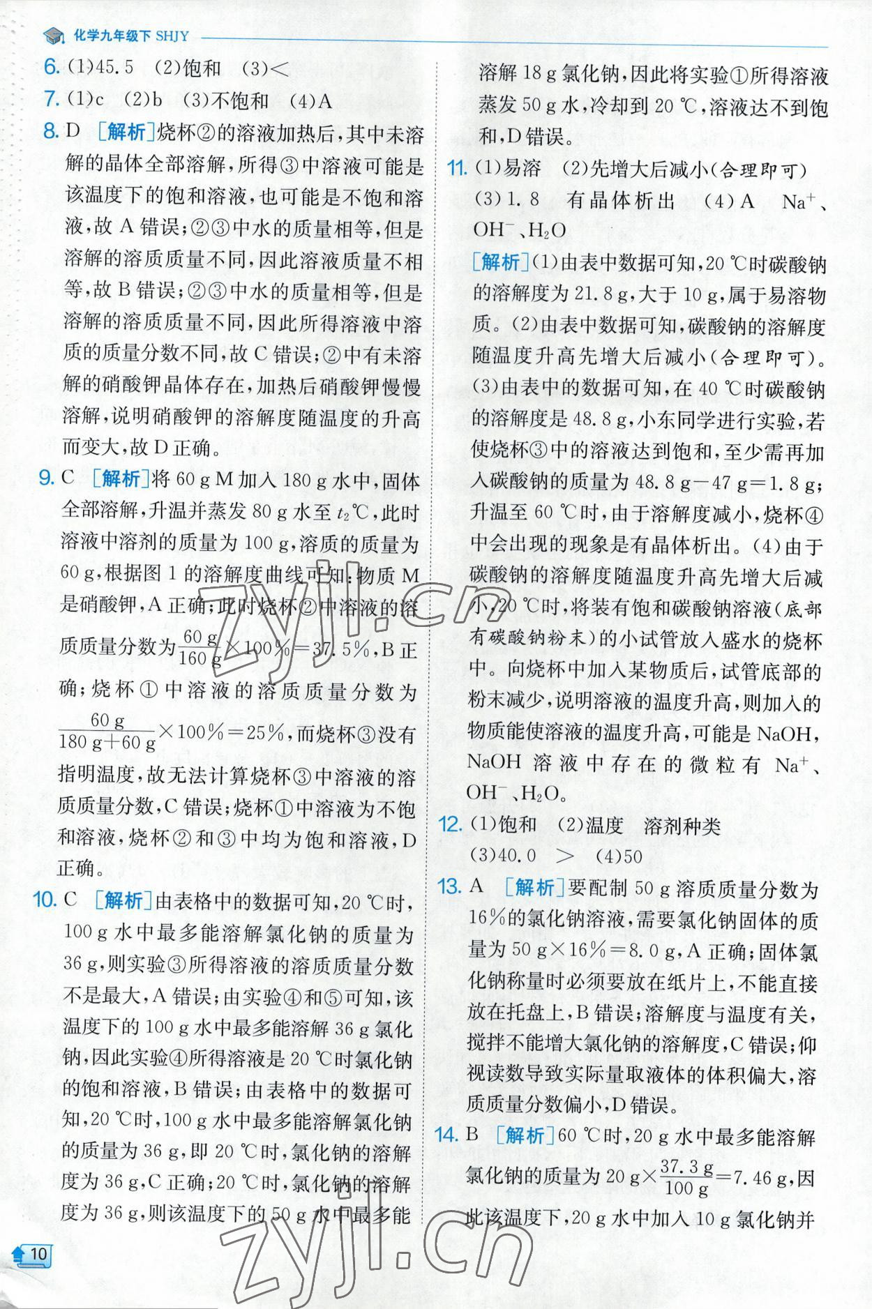 2023年实验班提优训练九年级化学下册沪教版 第10页