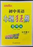 2023年小題狂做九年級(jí)英語(yǔ)下冊(cè)譯林版巔峰版