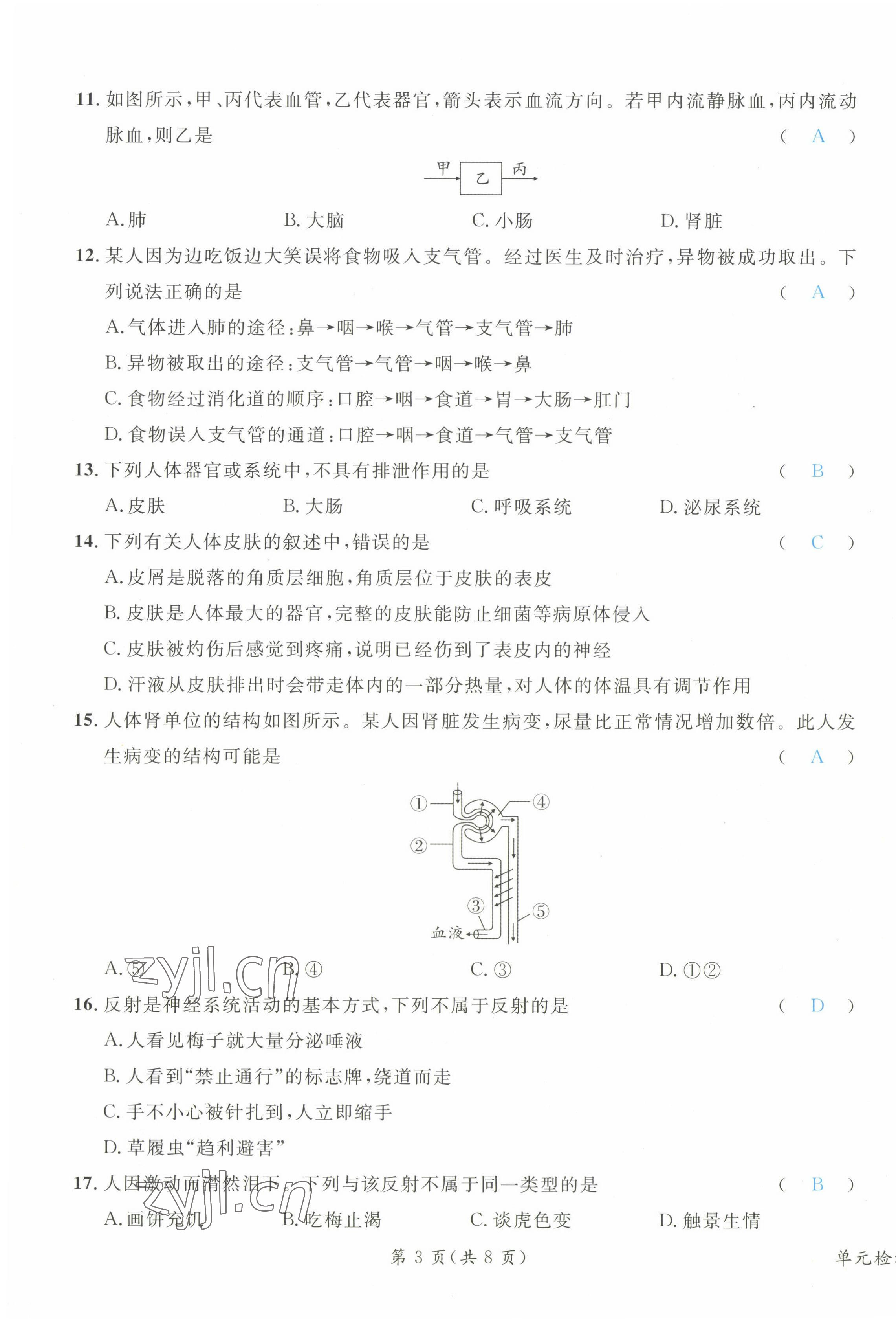 2023年時習之決勝會考生物北師大版 第11頁