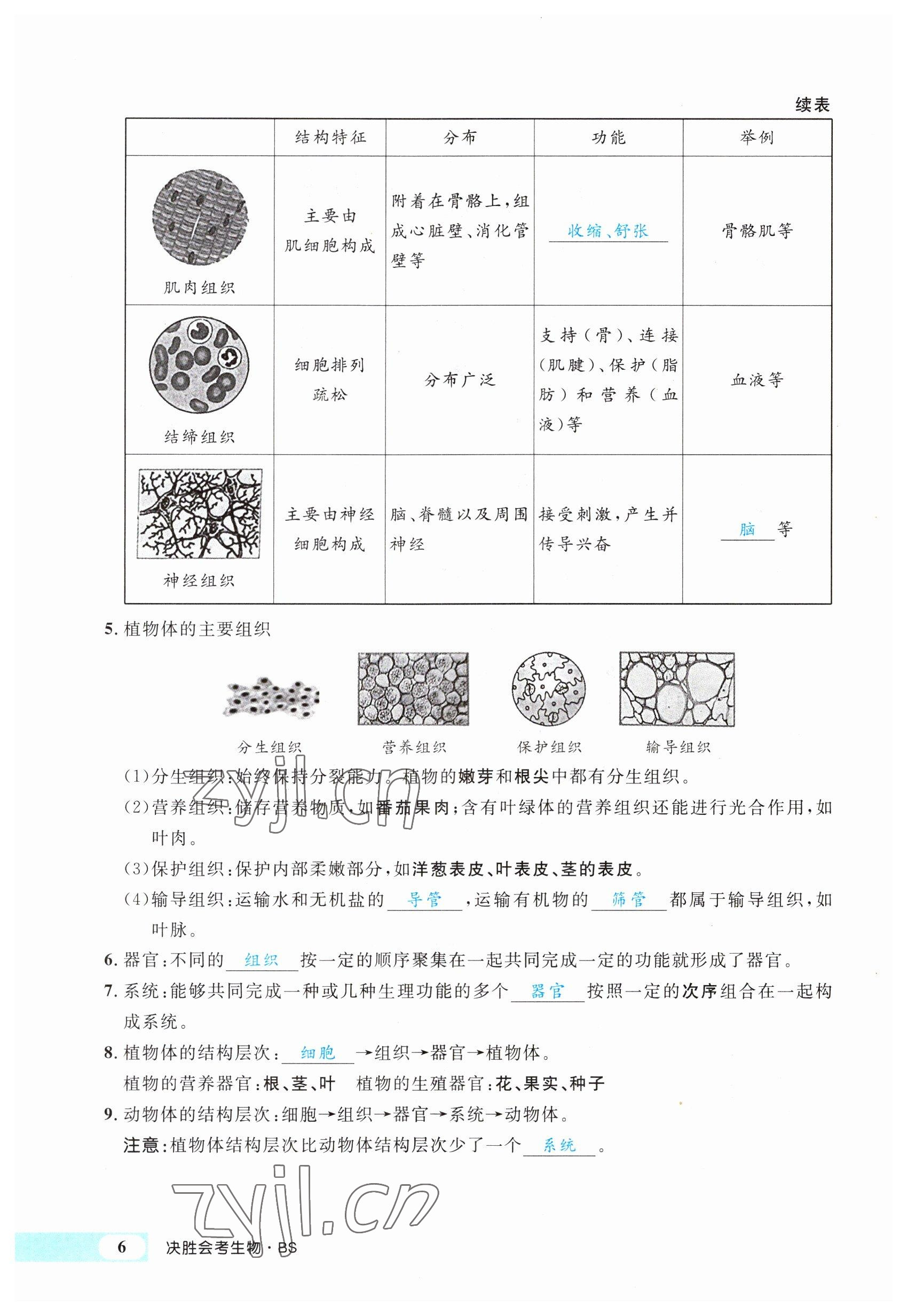 2023年時習(xí)之決勝會考生物北師大版 參考答案第13頁