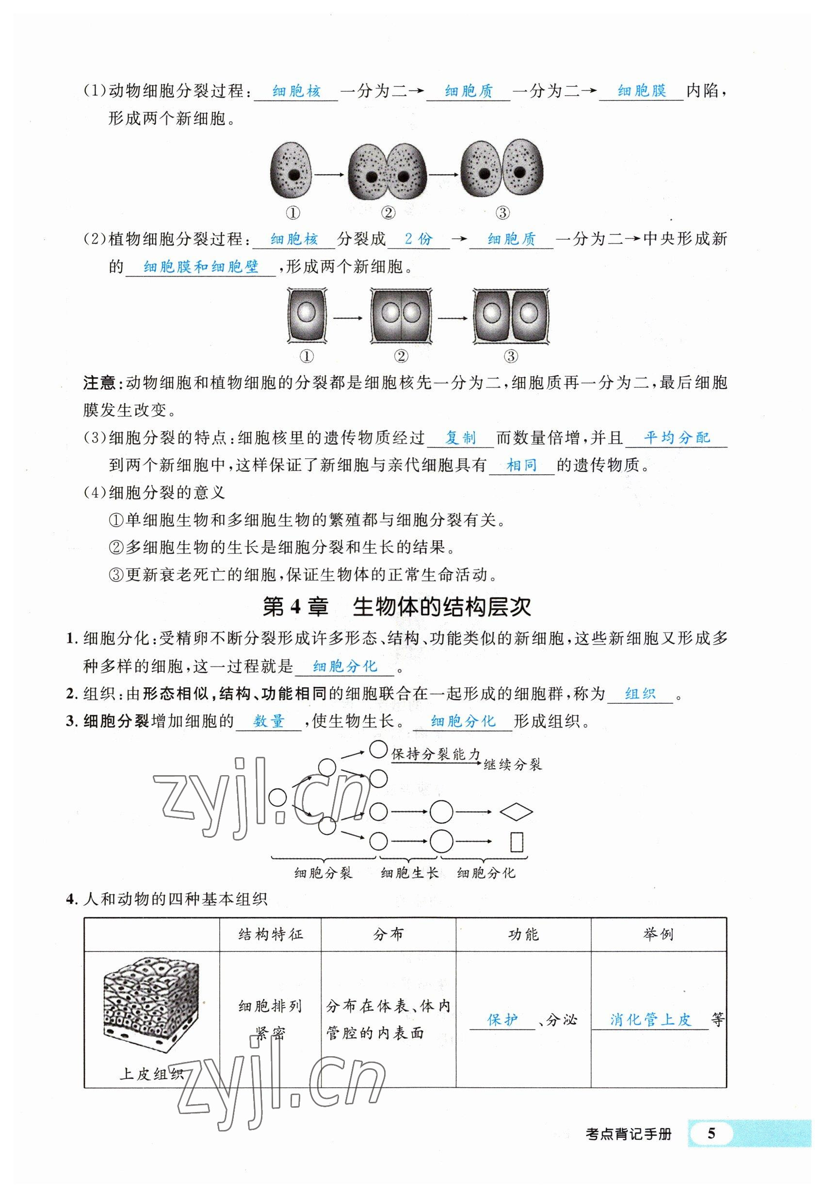 2023年時(shí)習(xí)之決勝會(huì)考生物北師大版 參考答案第11頁(yè)