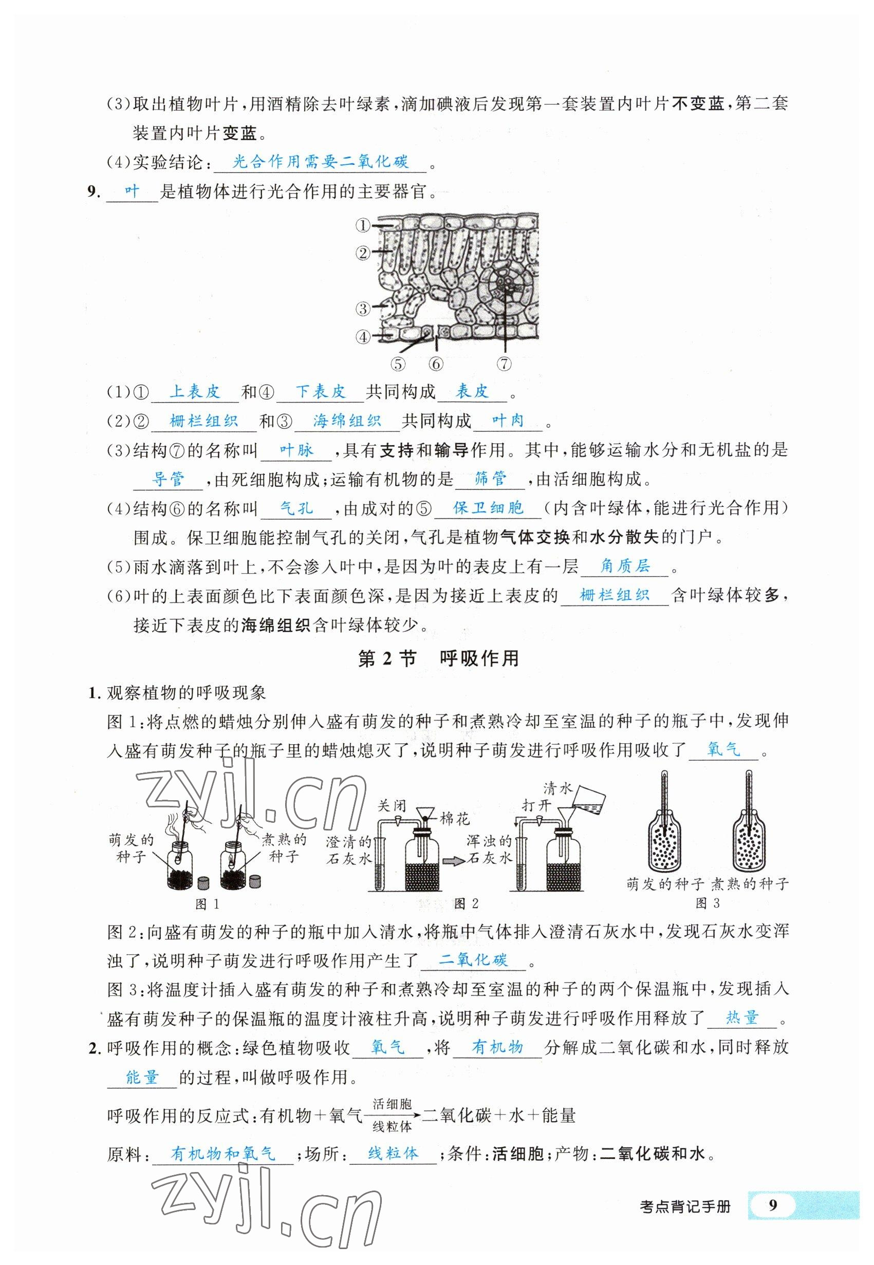 2023年時習(xí)之決勝會考生物北師大版 參考答案第19頁