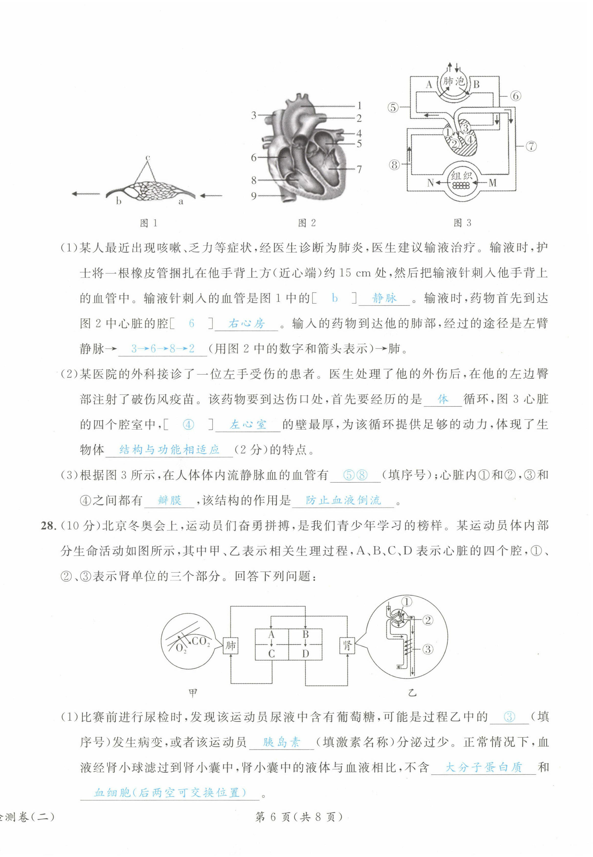 2023年時(shí)習(xí)之決勝會(huì)考生物北師大版 第14頁(yè)