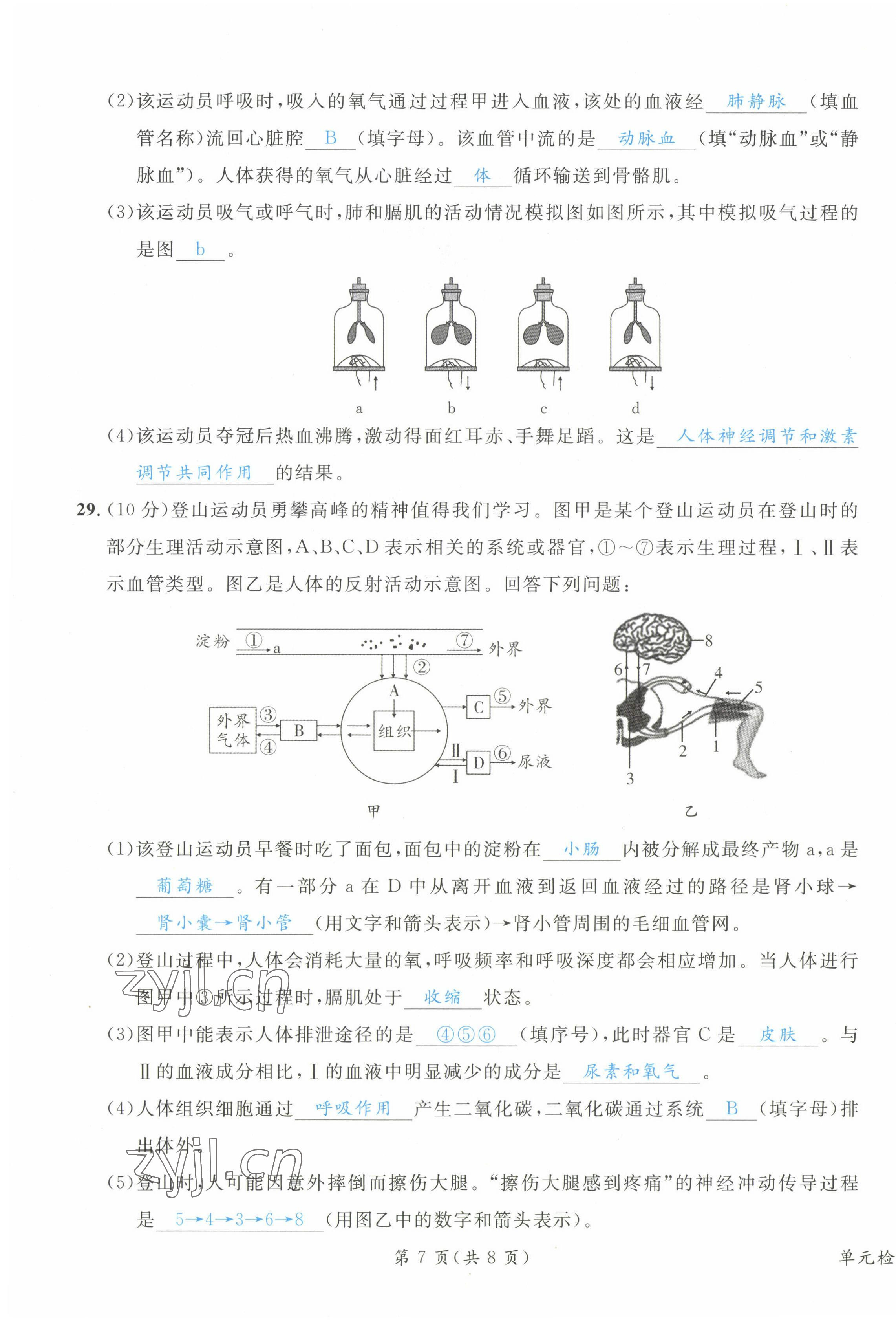 2023年時習(xí)之決勝會考生物北師大版 第15頁