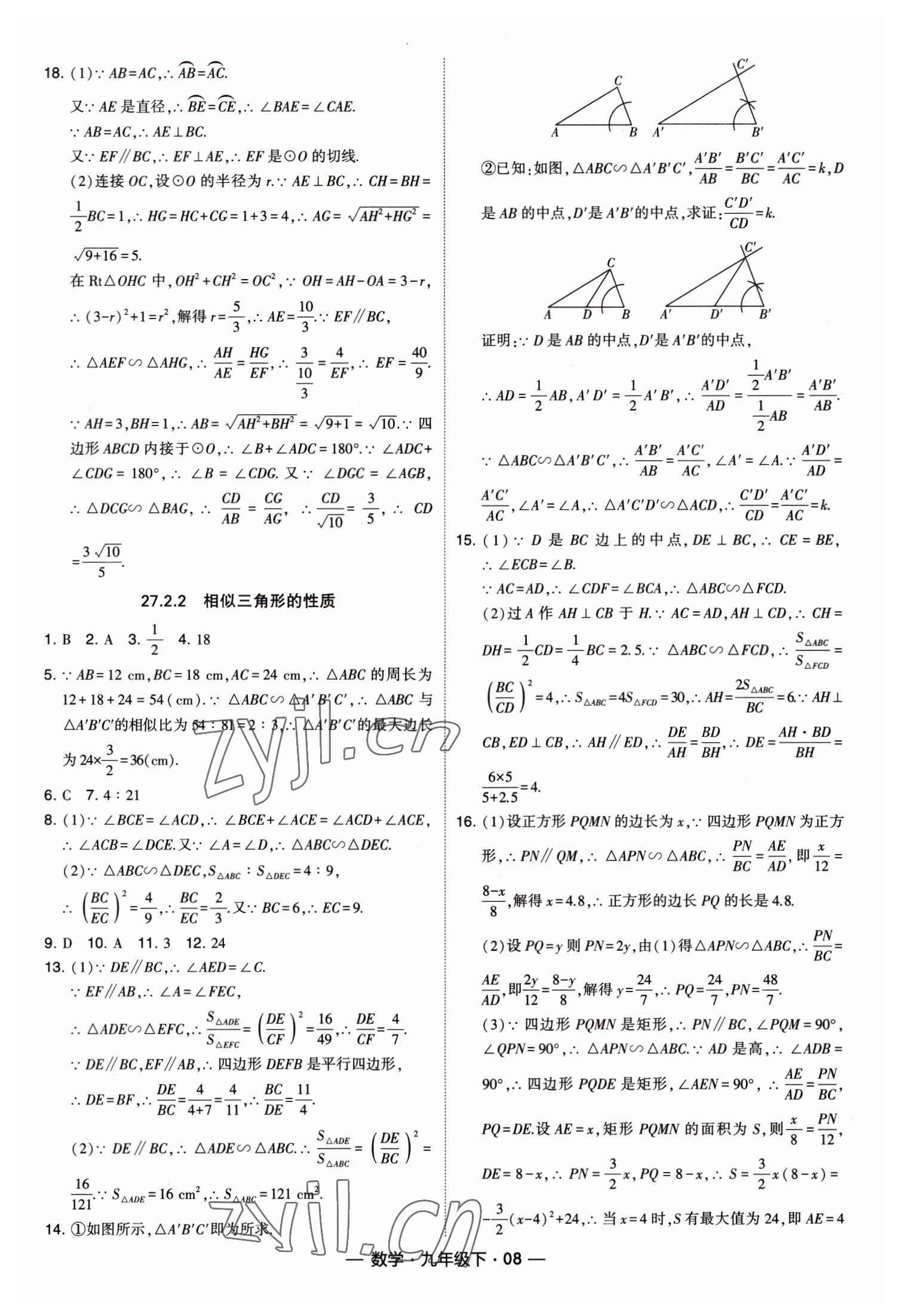 2023年经纶学典课时作业九年级数学下册人教版 第8页