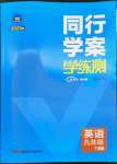 2023年同行学案学练测九年级英语下册人教版