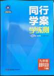 2023年同行學(xué)案學(xué)練測九年級道德與法治下冊人教版