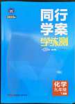 2023年同行學(xué)案學(xué)練測九年級化學(xué)下冊人教版