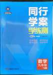 2023年同行學案學練測九年級數(shù)學下冊人教版