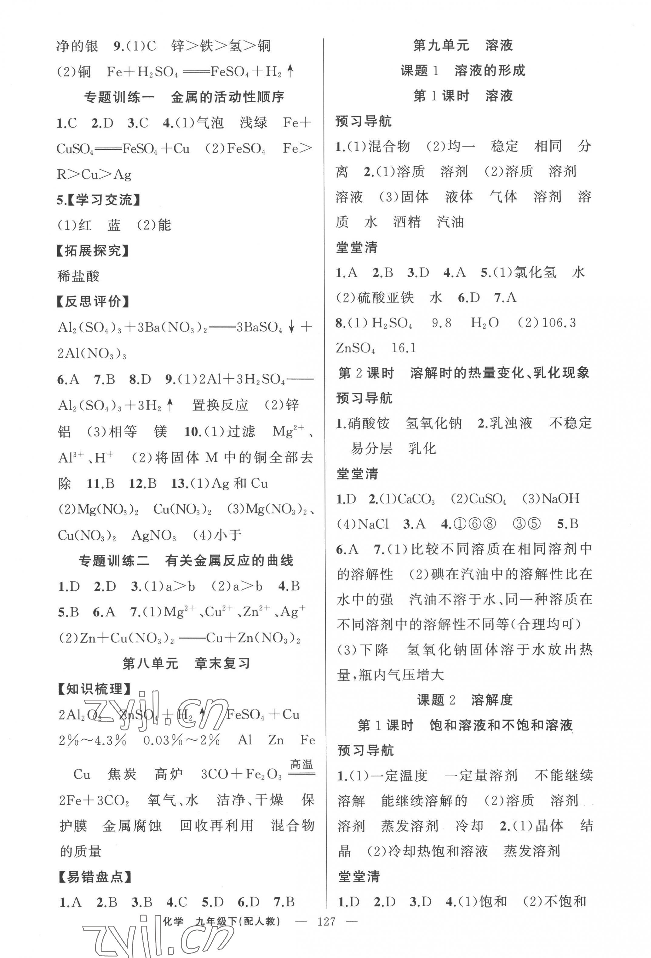 2023年四清導(dǎo)航九年級化學(xué)下冊人教版 第3頁