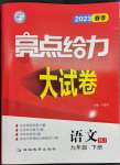 2023年亮點(diǎn)給力大試卷九年級(jí)語文下冊(cè)人教版