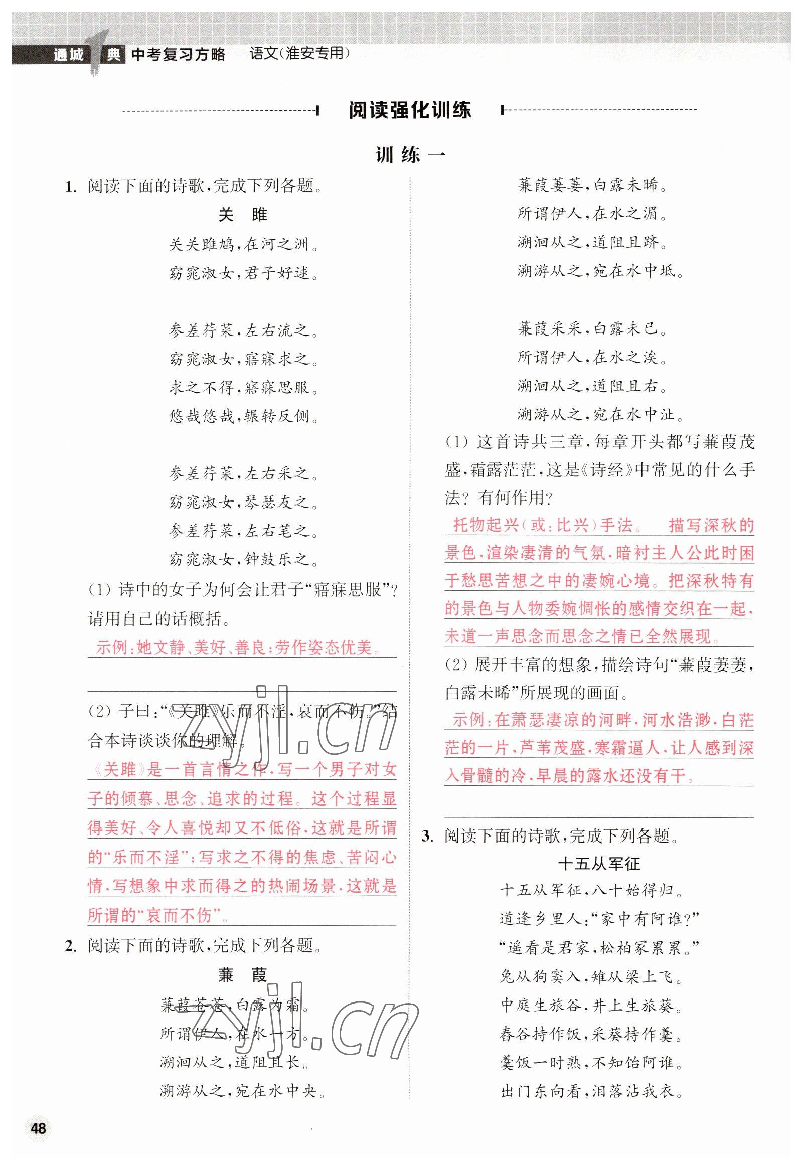 2023年通城1典中考复习方略语文淮安专版 第48页