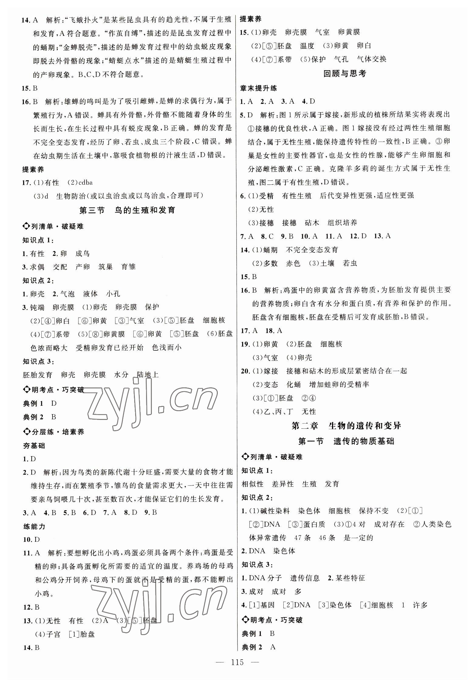 2023年細解巧練八年級生物下冊魯科版54制 參考答案第2頁