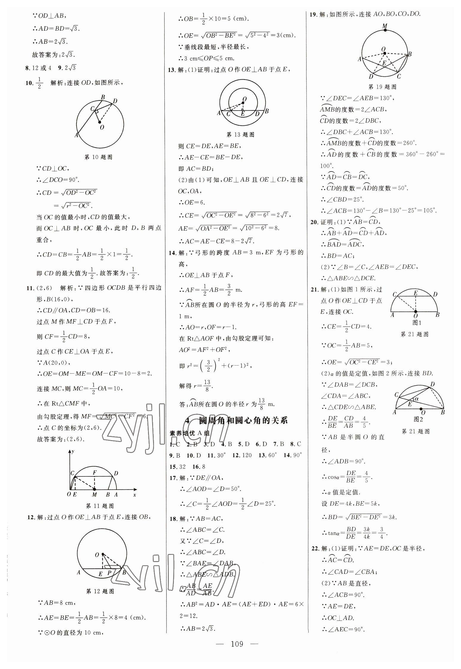 2023年細解巧練九年級數(shù)學(xué)下冊魯教版54制 參考答案第8頁