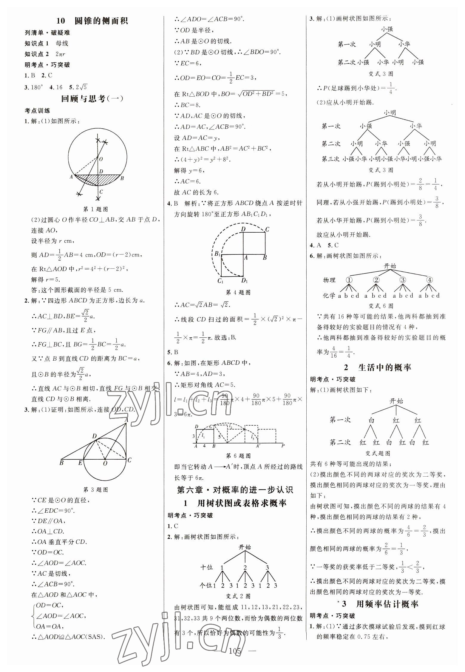 2023年细解巧练九年级数学下册鲁教版54制 参考答案第4页