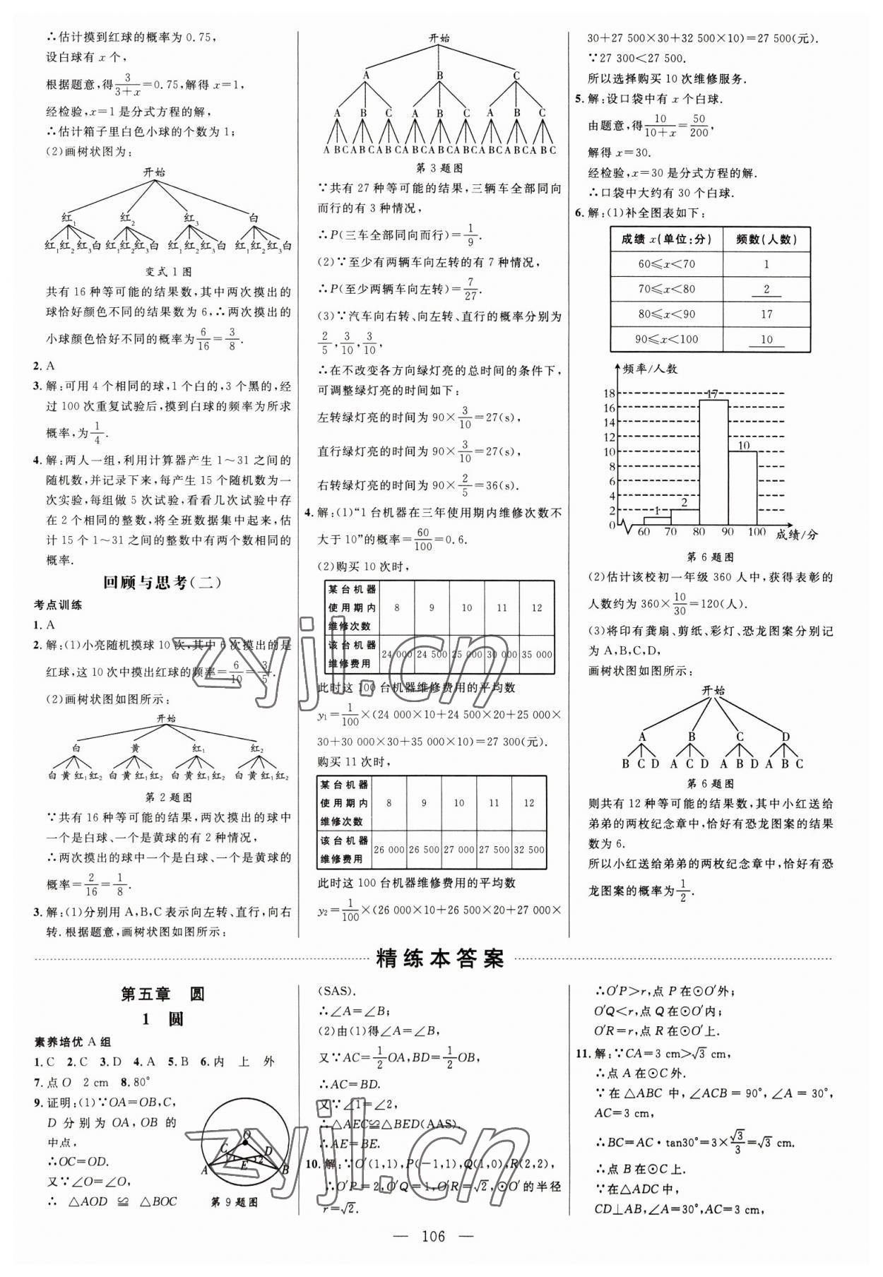 2023年细解巧练九年级数学下册鲁教版54制 参考答案第5页