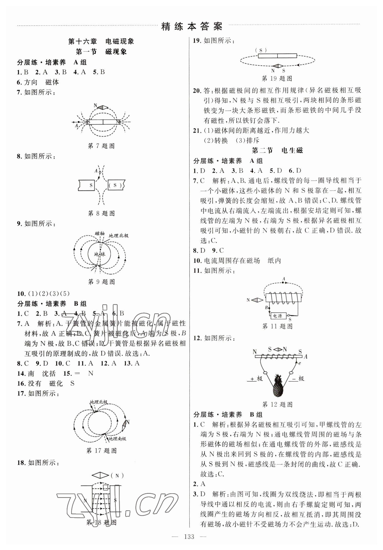 2023年细解巧练九年级物理下册鲁科版54制 参考答案第4页