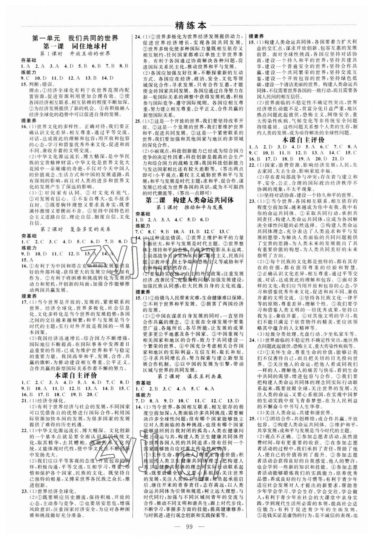 2023年細(xì)解巧練九年級(jí)道德與法治下冊(cè)人教版五四制 參考答案第2頁(yè)