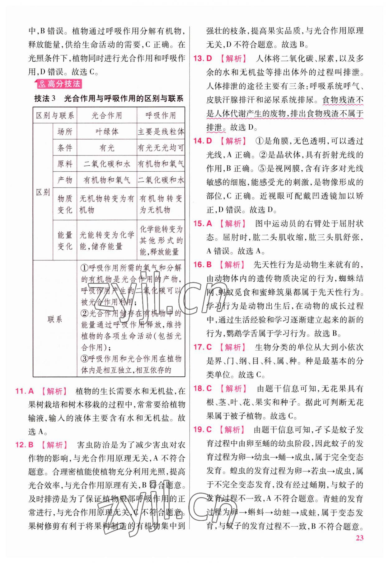 2023年金考卷45套匯編生物廣東專版 第23頁