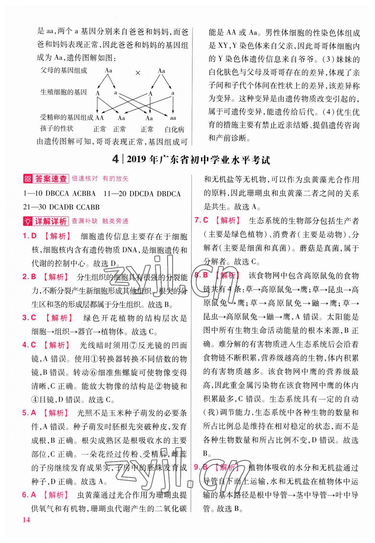 2023年金考卷45套匯編生物廣東專版 第14頁