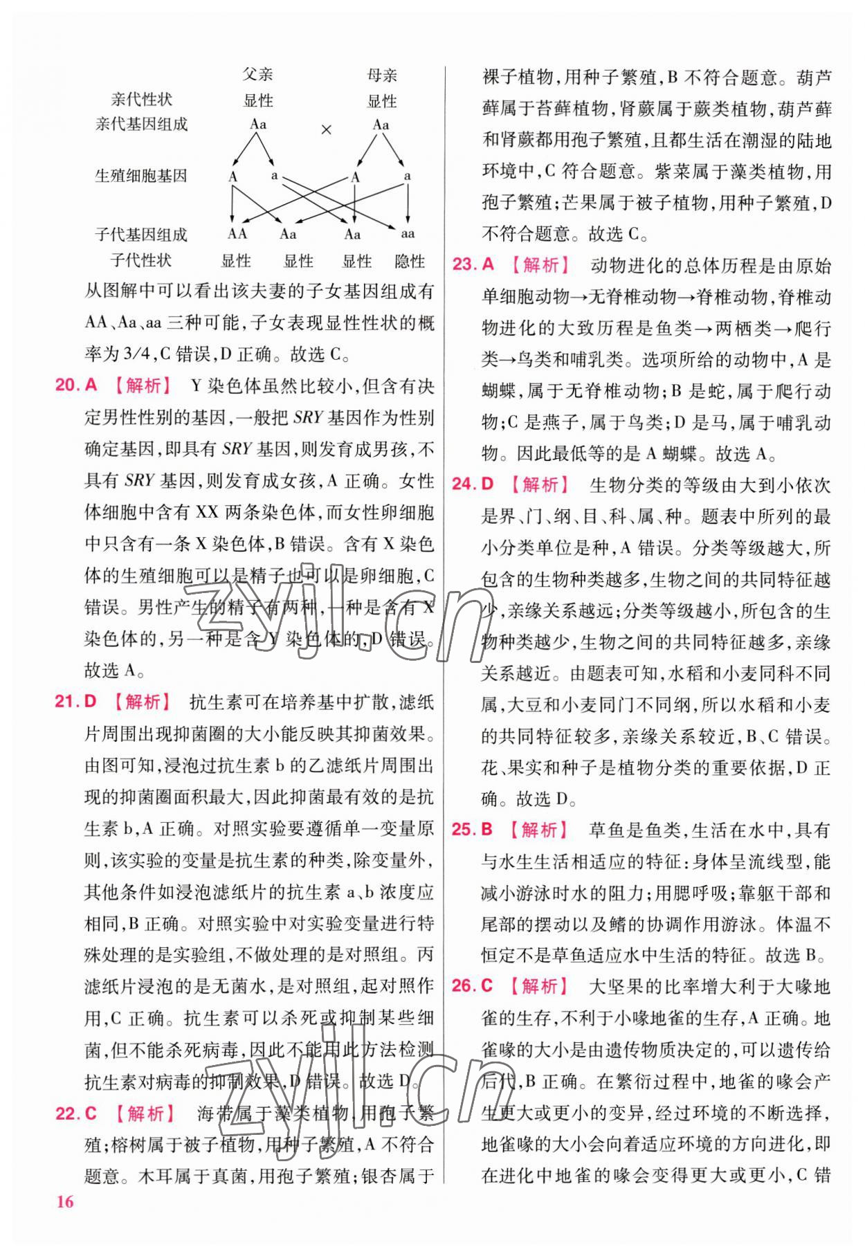 2023年金考卷45套匯編生物廣東專版 第16頁