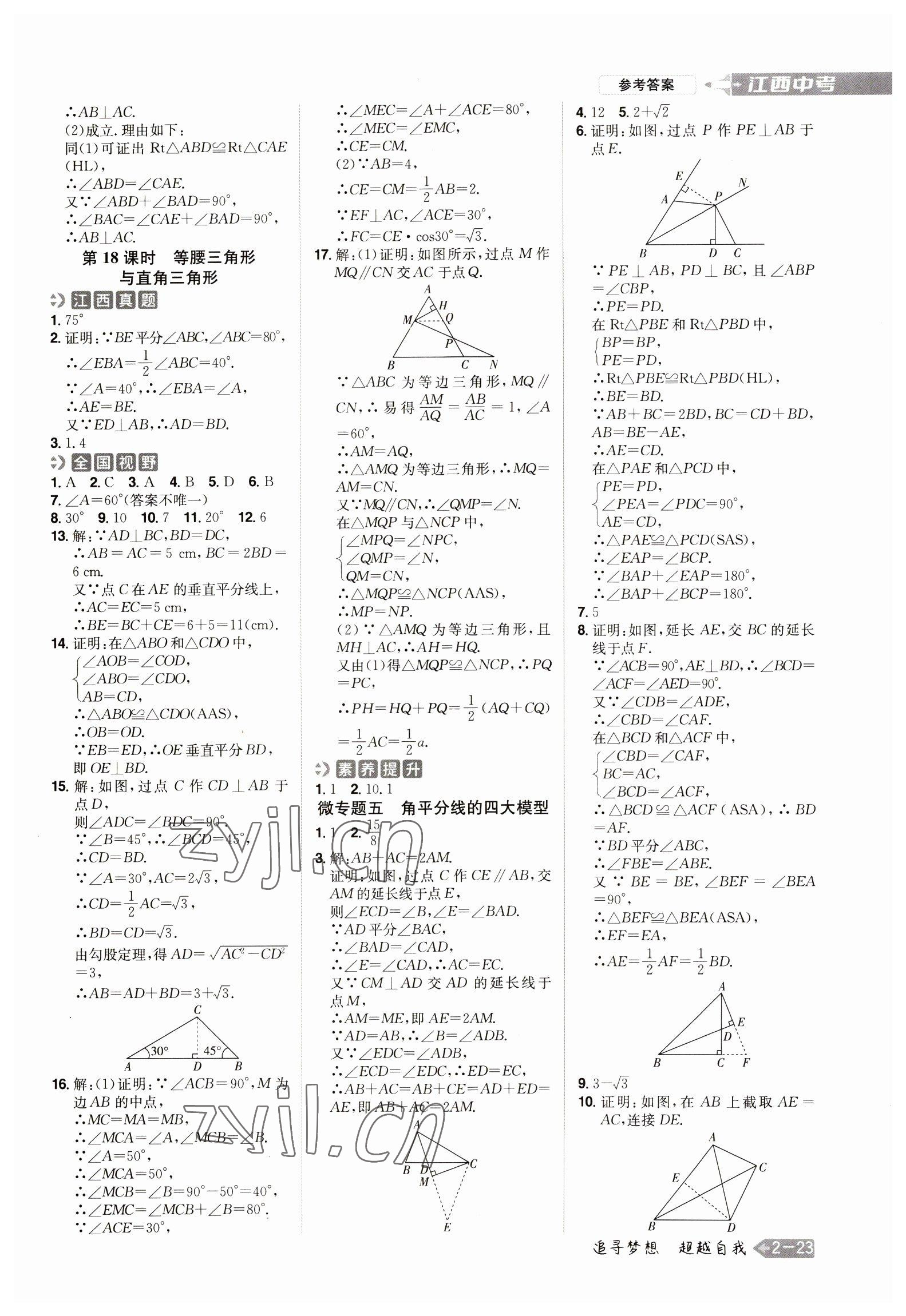2023年追擊中考數(shù)學(xué)江西專版 參考答案第11頁
