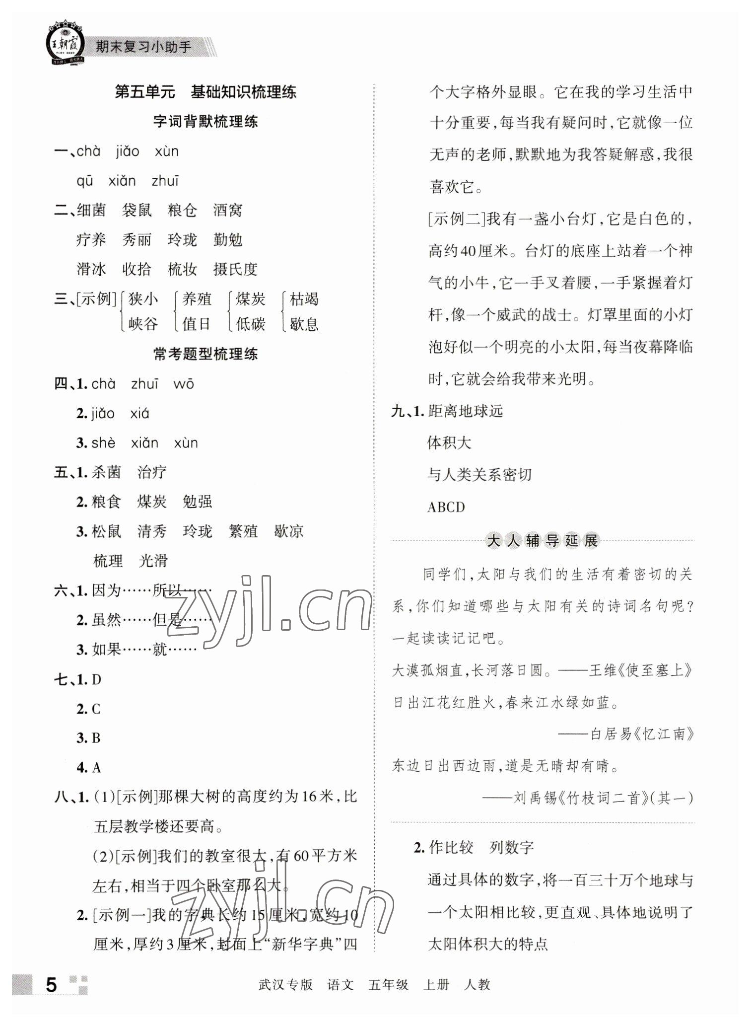 2022年王朝霞期末真题精编五年级语文上册人教版武汉专版 参考答案第5页