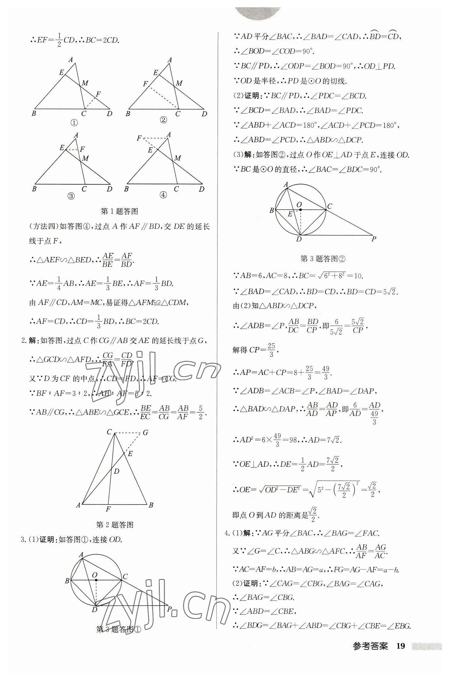 2023年啟東中學作業(yè)本九年級數(shù)學下冊蘇科版鹽城專版 參考答案第19頁