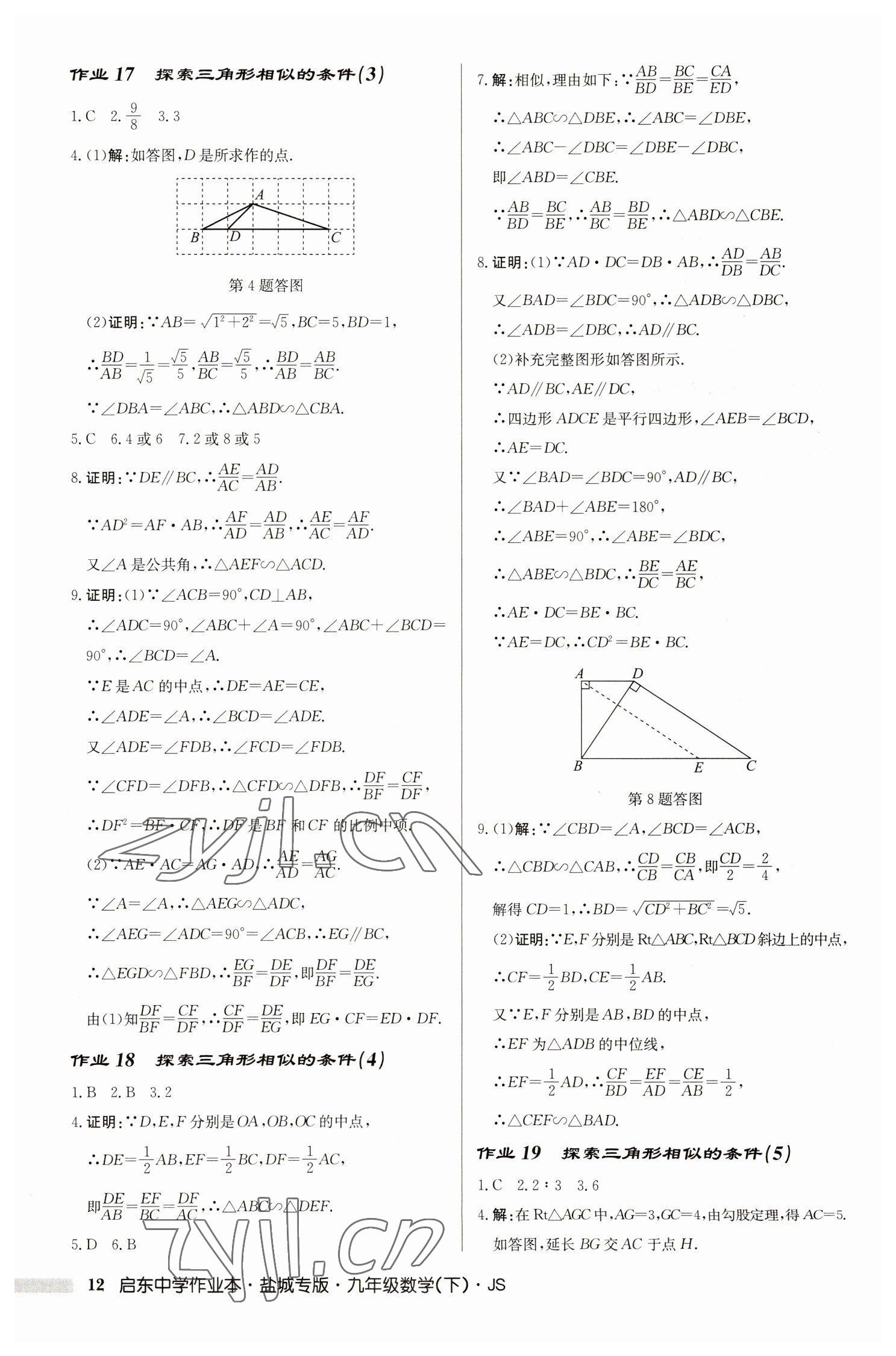 2023年啟東中學作業(yè)本九年級數(shù)學下冊蘇科版鹽城專版 參考答案第12頁