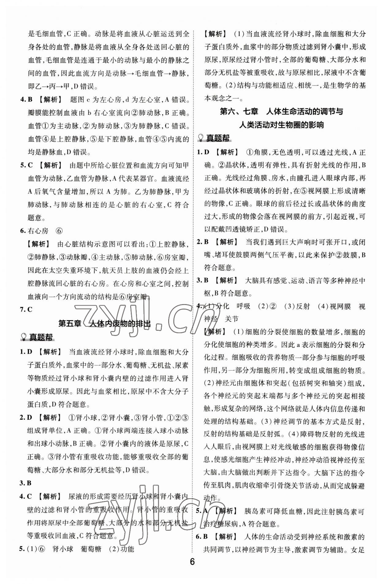 2023年中考幫生物河南專(zhuān)版&nbsp;第6頁(yè)