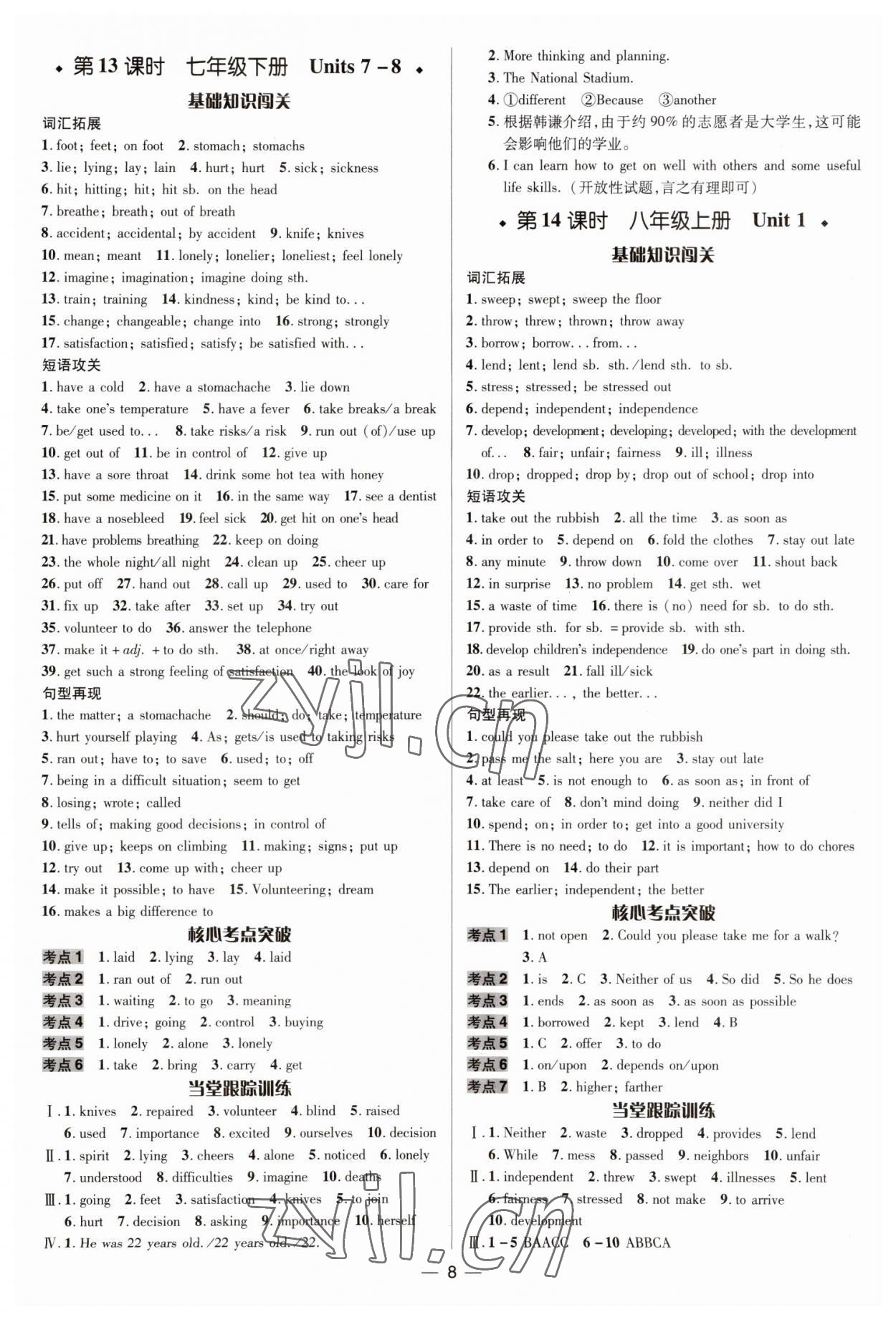 2023年中考對(duì)策英語(yǔ)魯教版泰安專版 參考答案第8頁(yè)