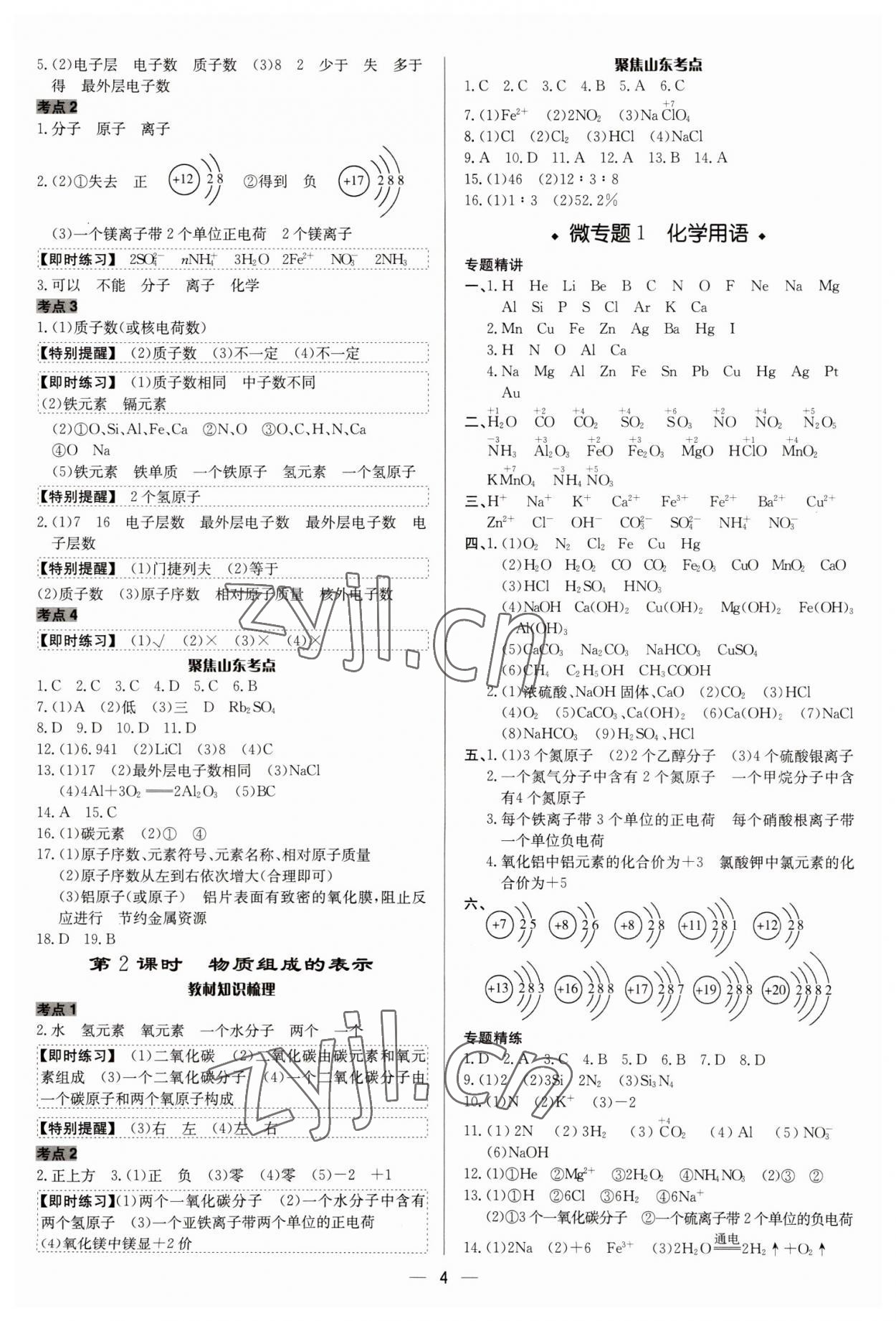 2023年中考對策化學(xué)魯教版 參考答案第4頁