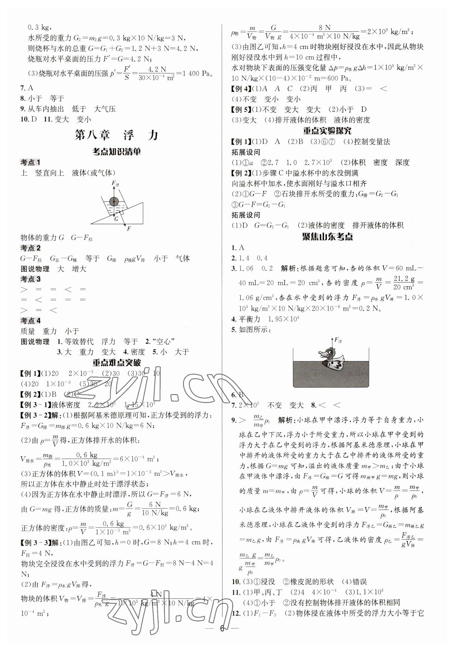 2023年中考對(duì)策物理泰安專版 參考答案第6頁