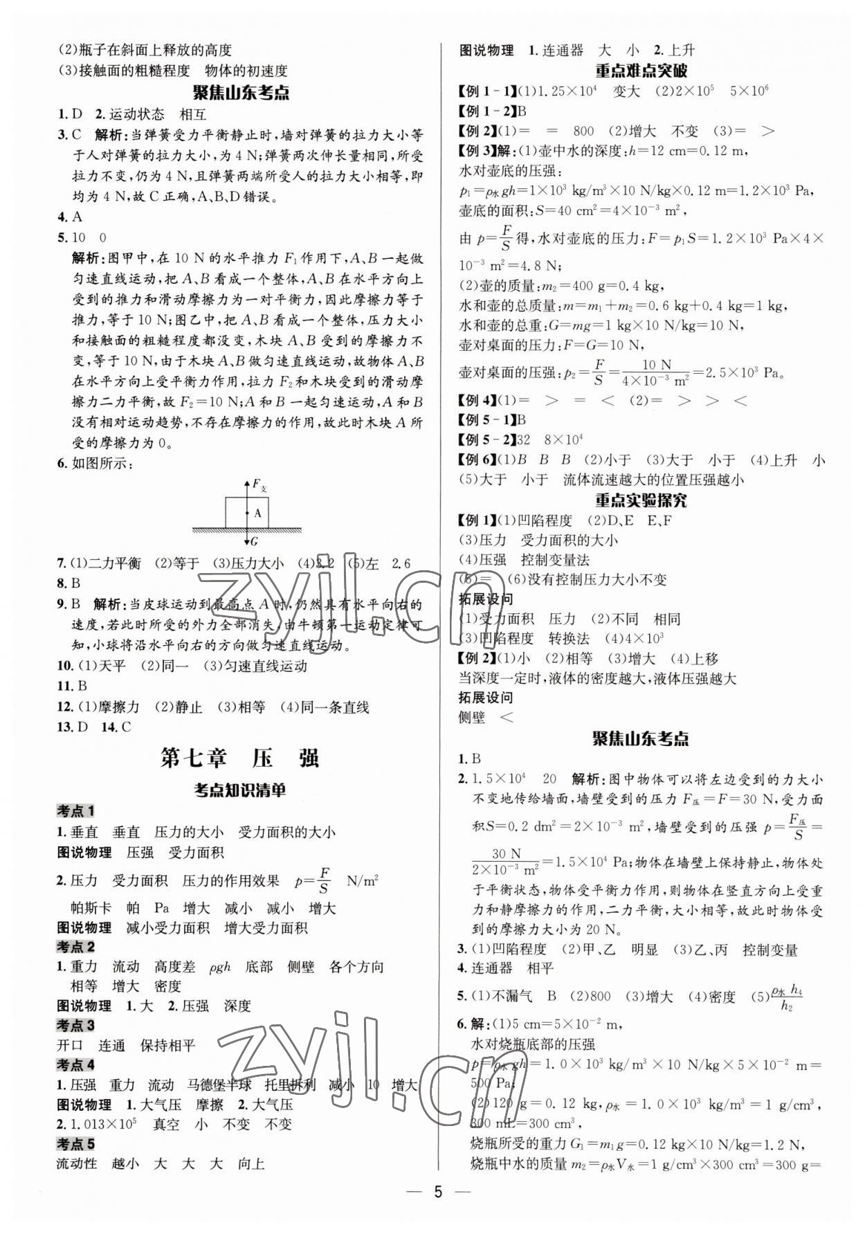 2023年中考對(duì)策物理泰安專版 參考答案第5頁